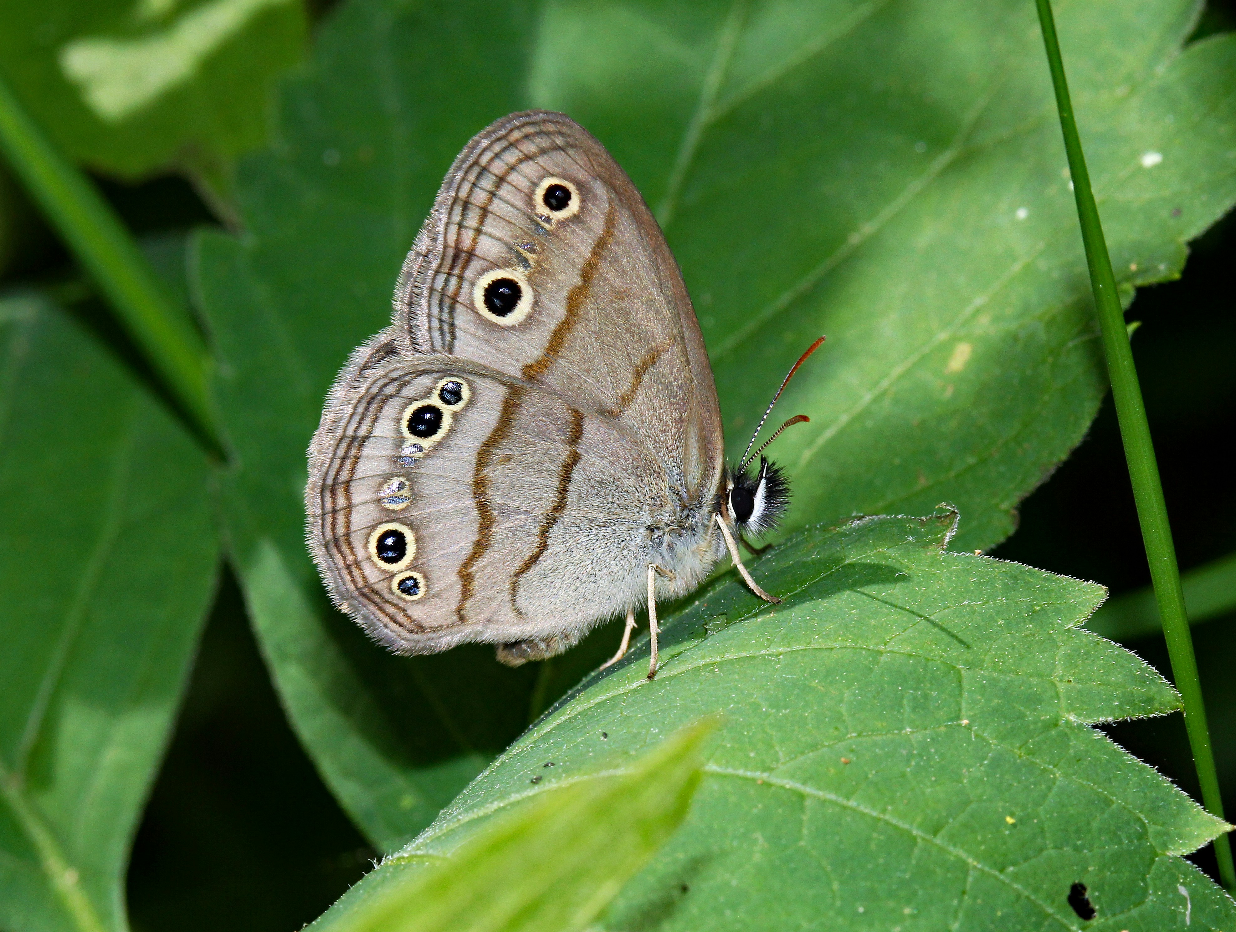 Photo by telliottmbamsc