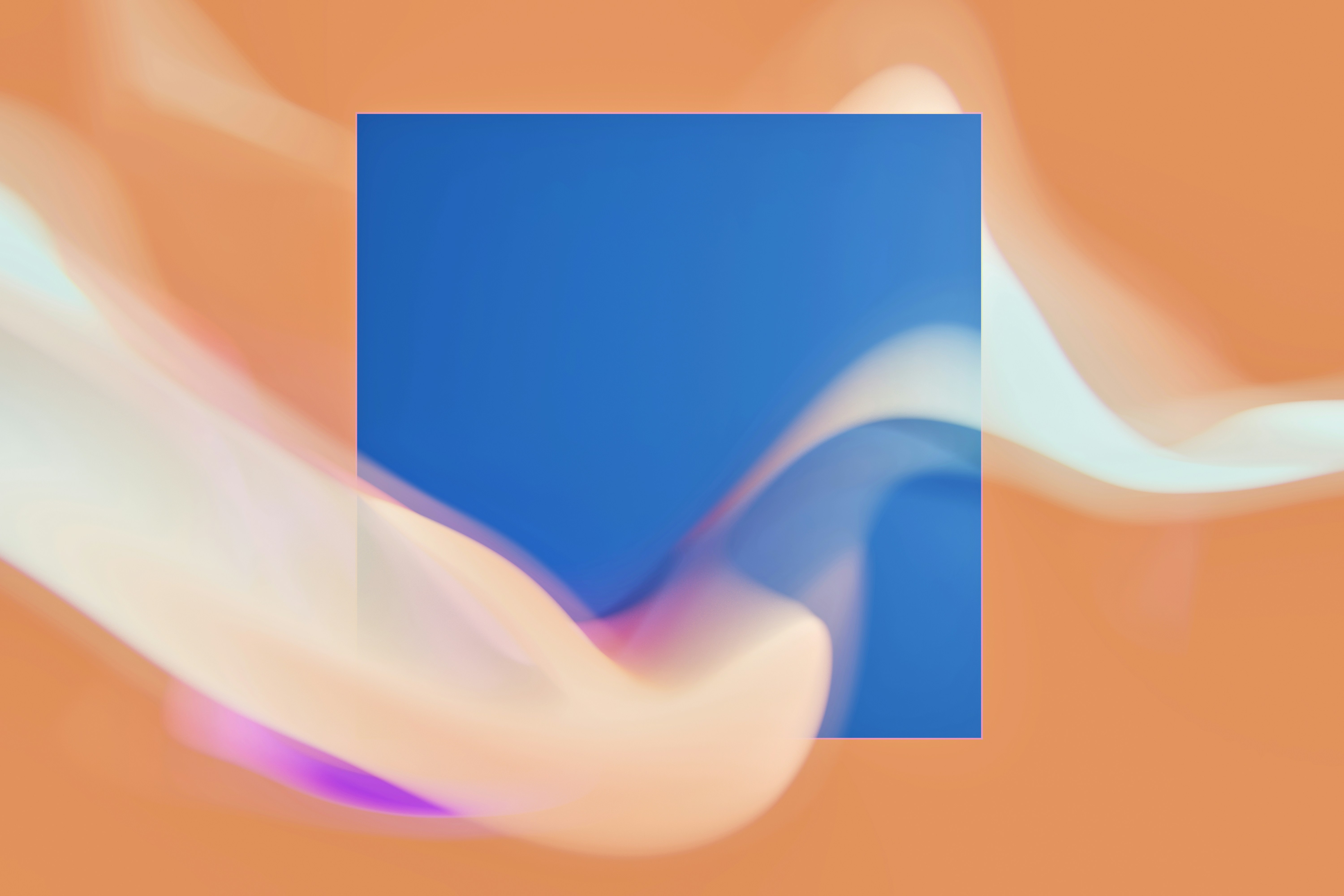 The Role Of Bible Colleges In Today's World: Why They Still Issue