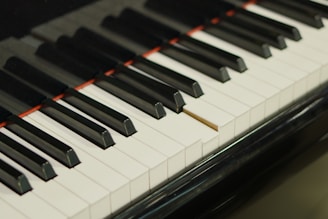 Close-up of a piano keyboard with a toothpick.