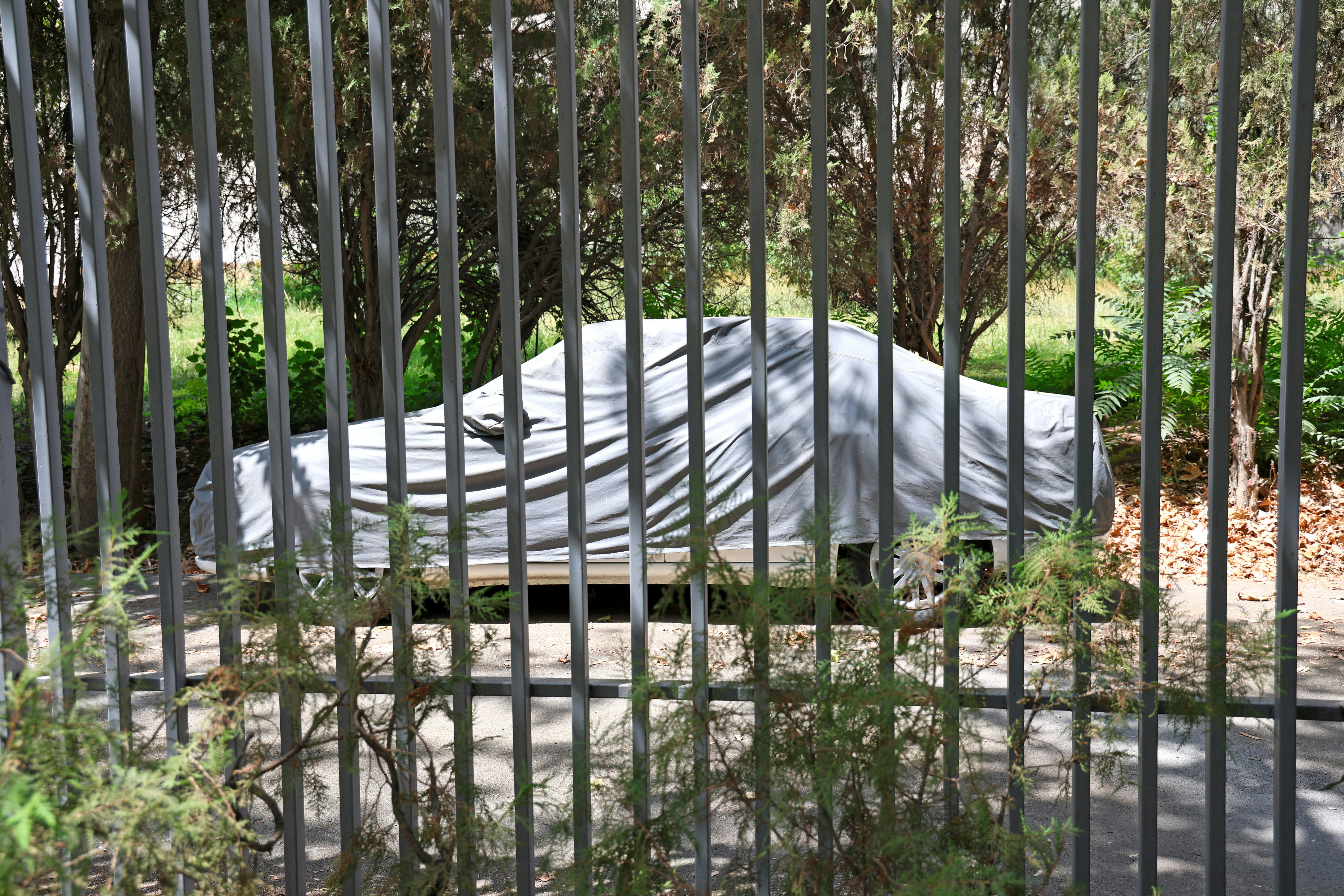 Car covered with a tarp behind a metal fence.