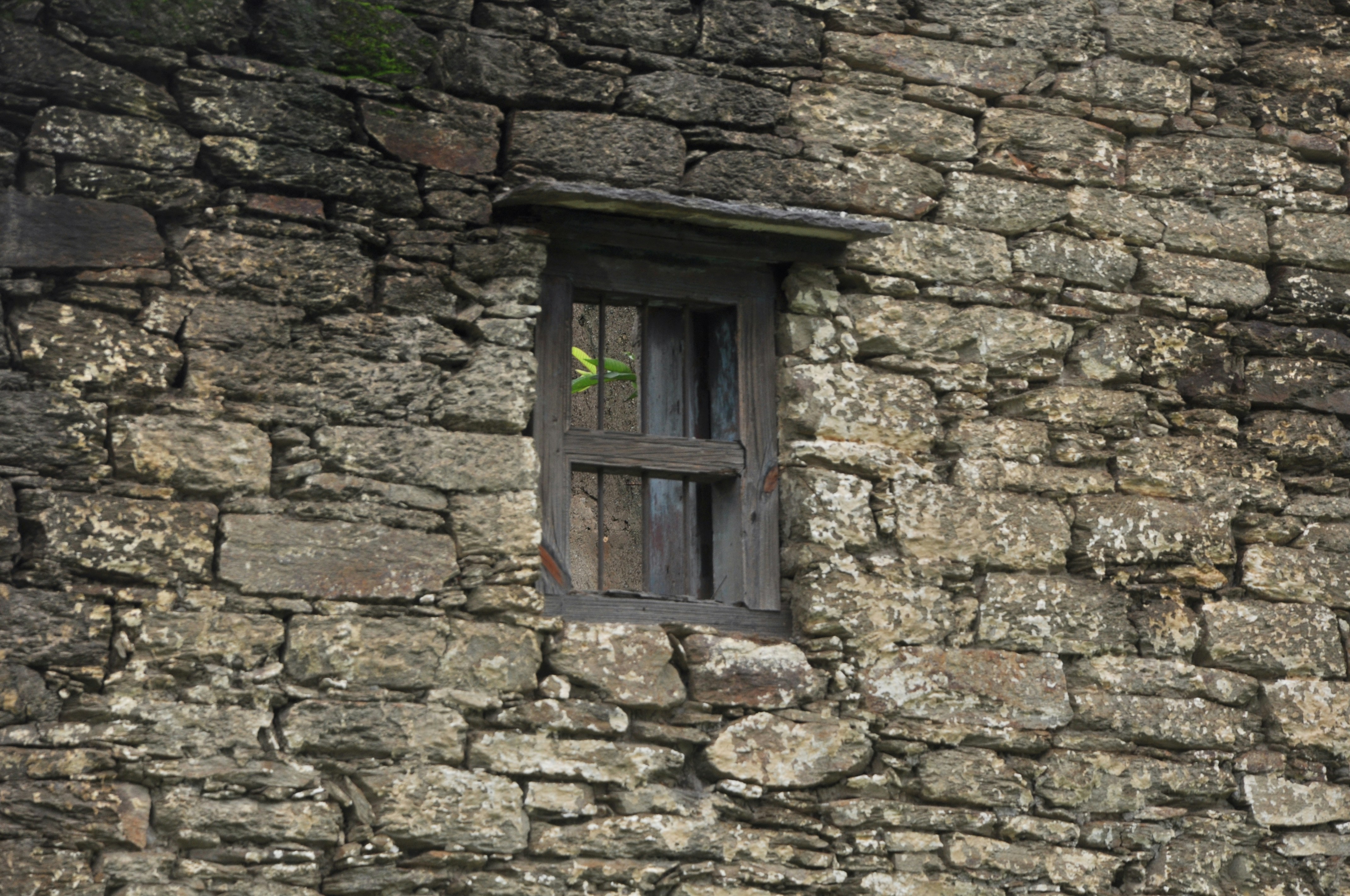 Photo by prakritidarshan