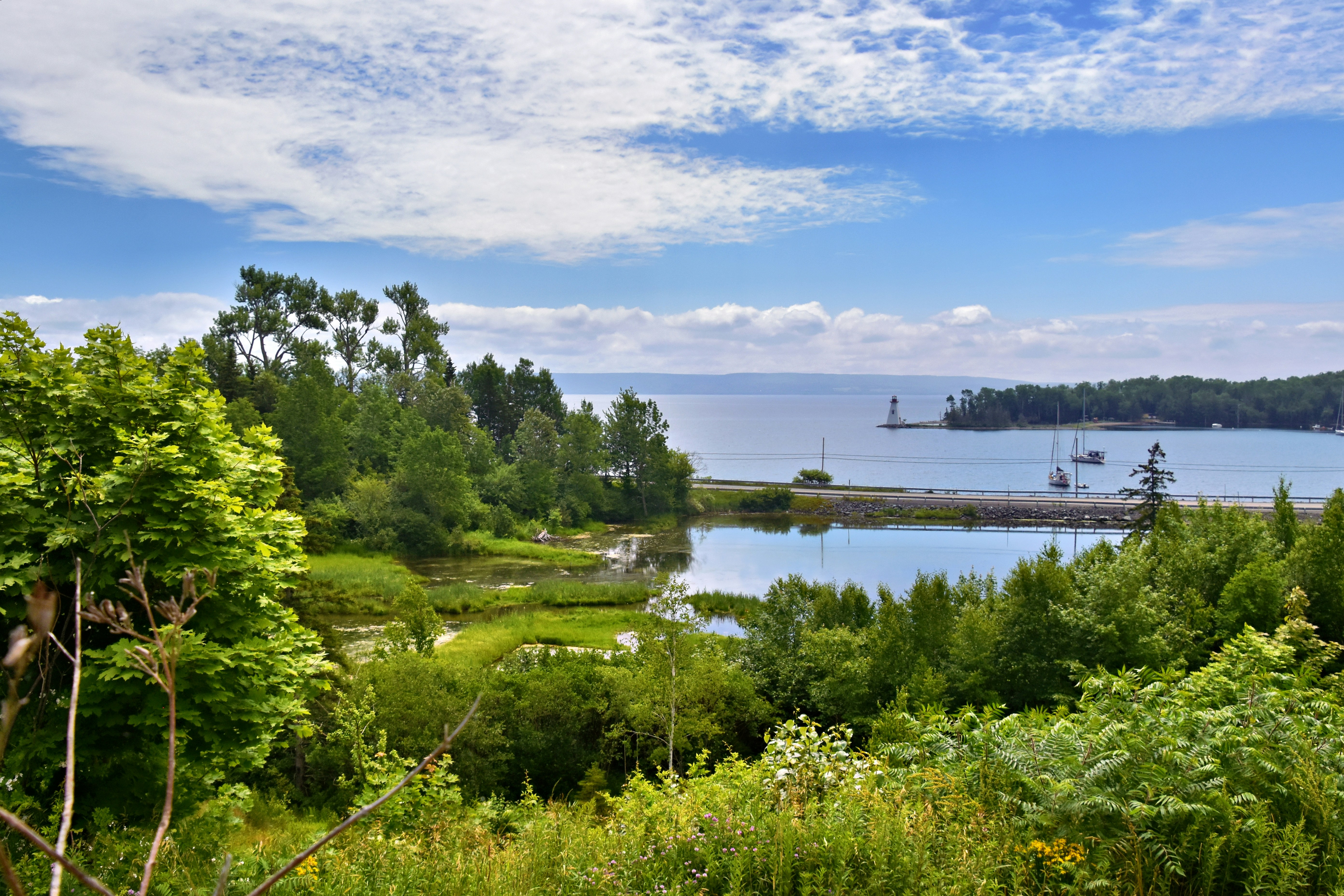 Four Mile Cove Ecological Preserve