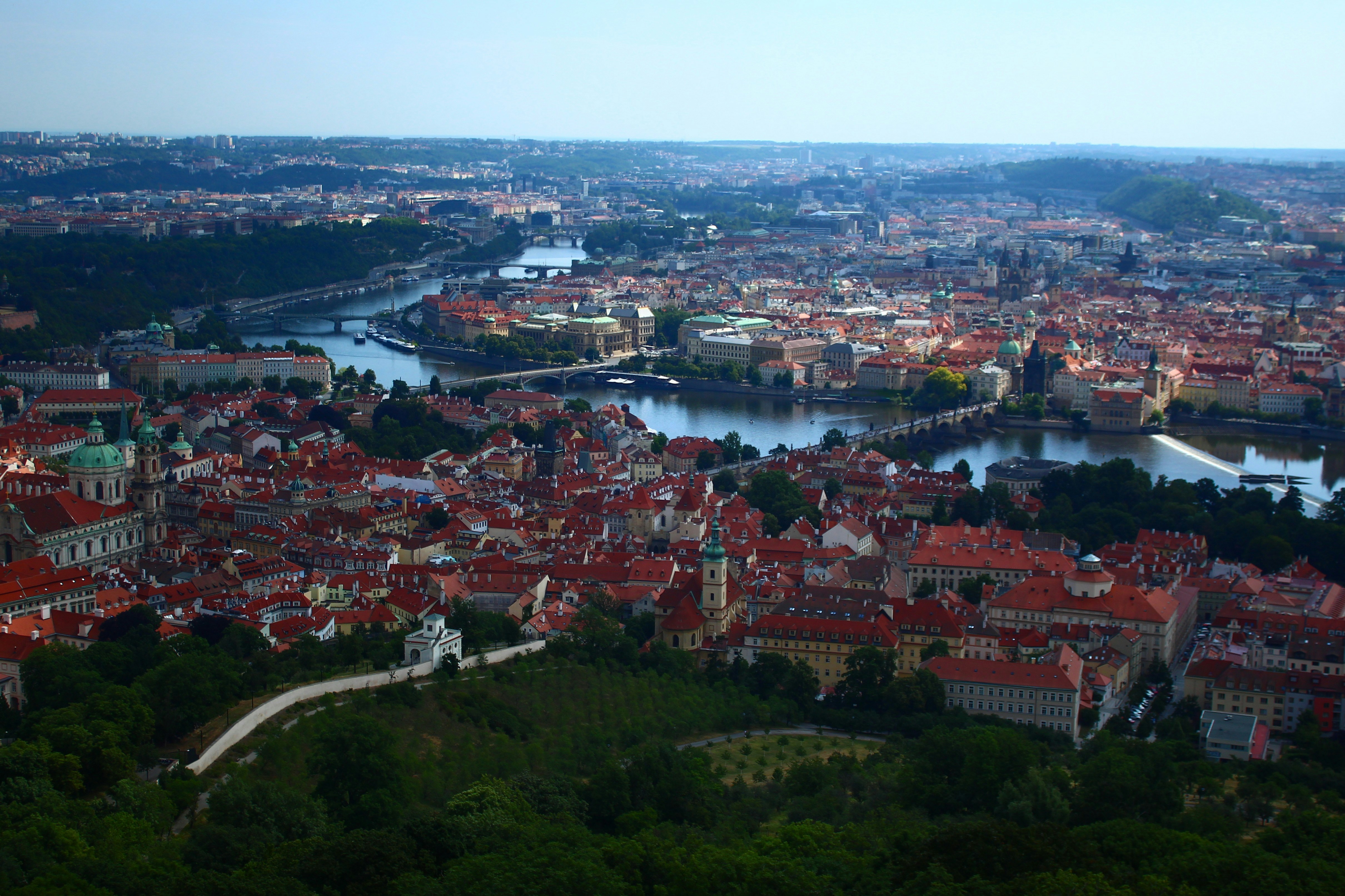 Image by Seval Torun via Unsplash