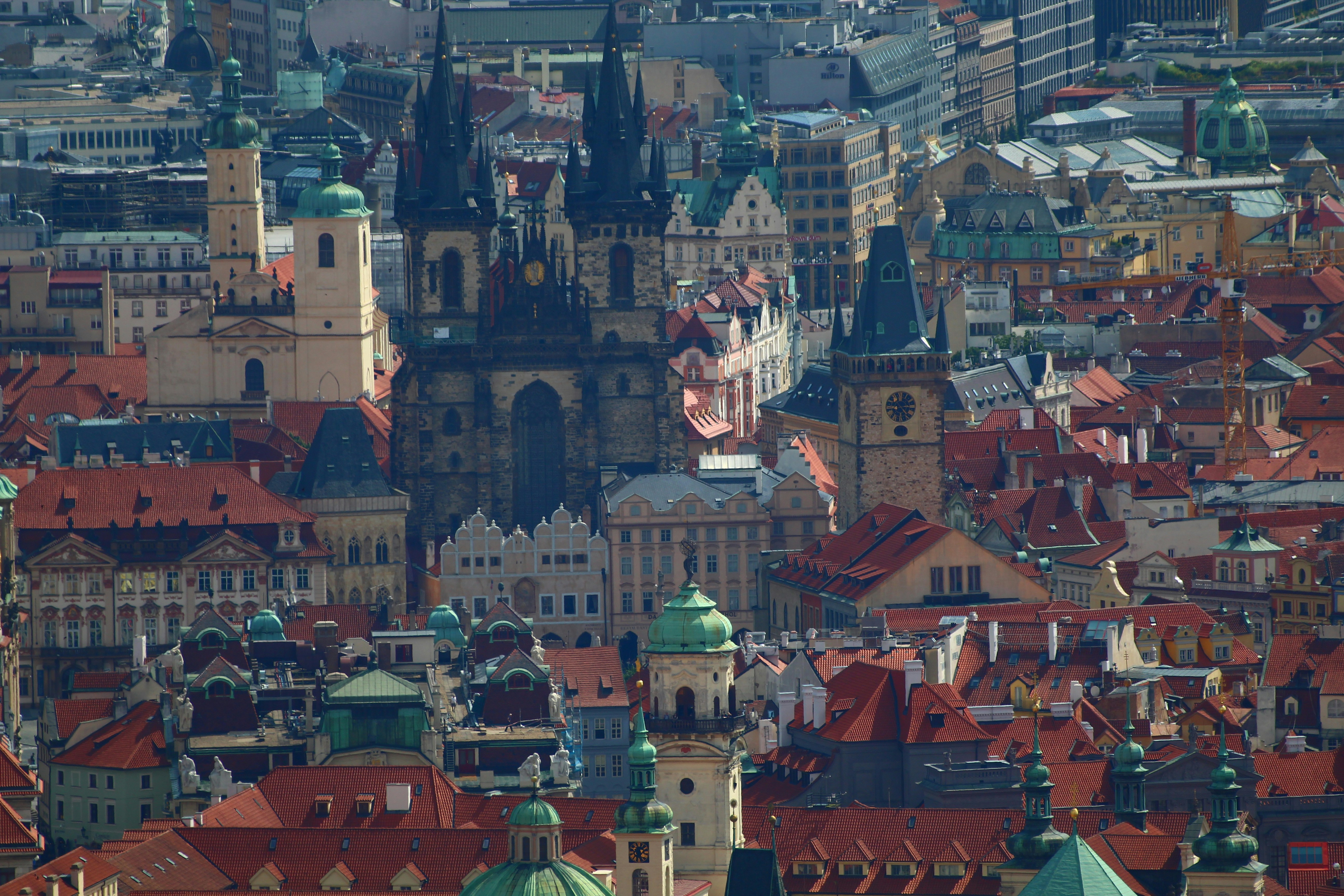 Image by Seval Torun via Unsplash