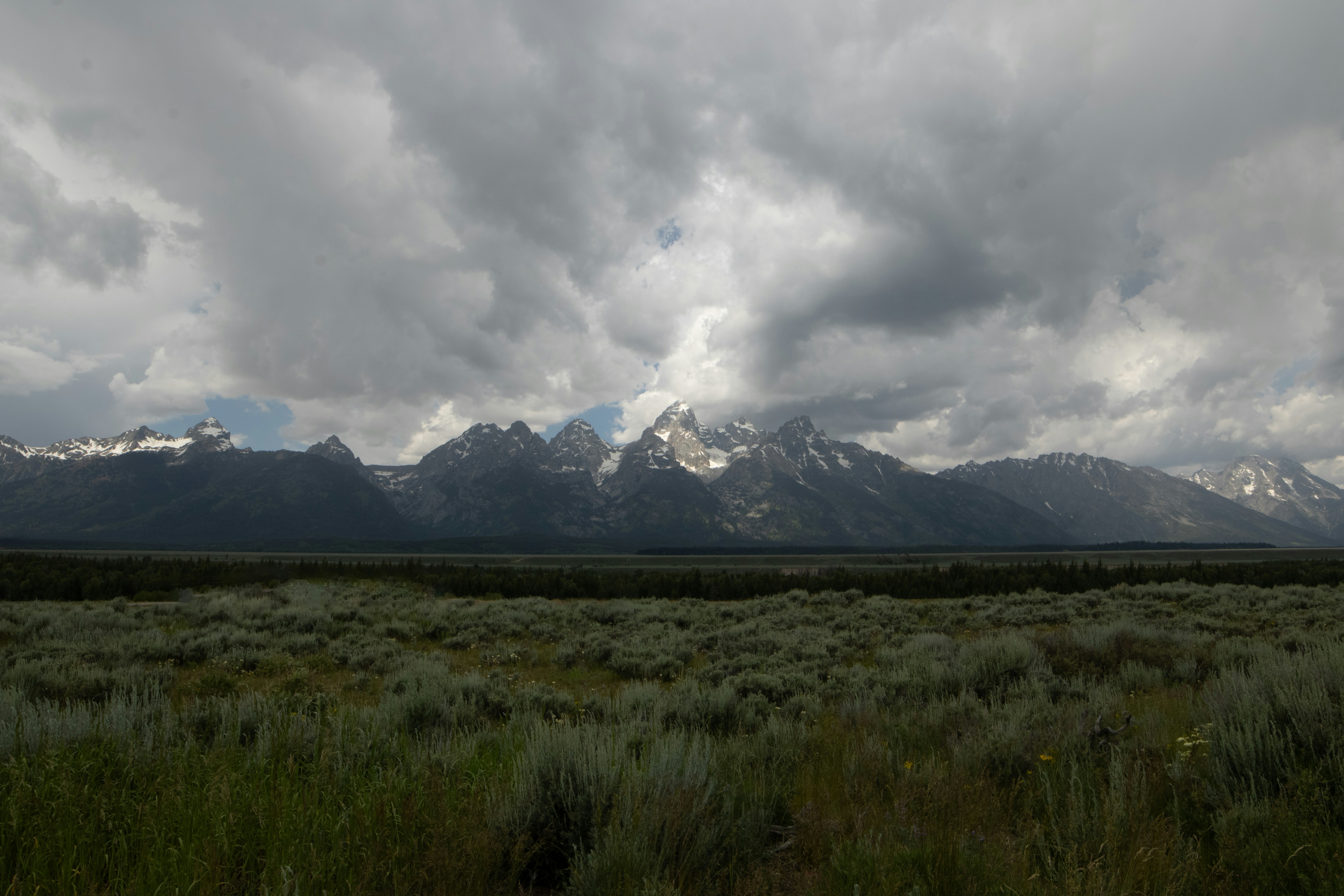 Photo by walrodmarcus