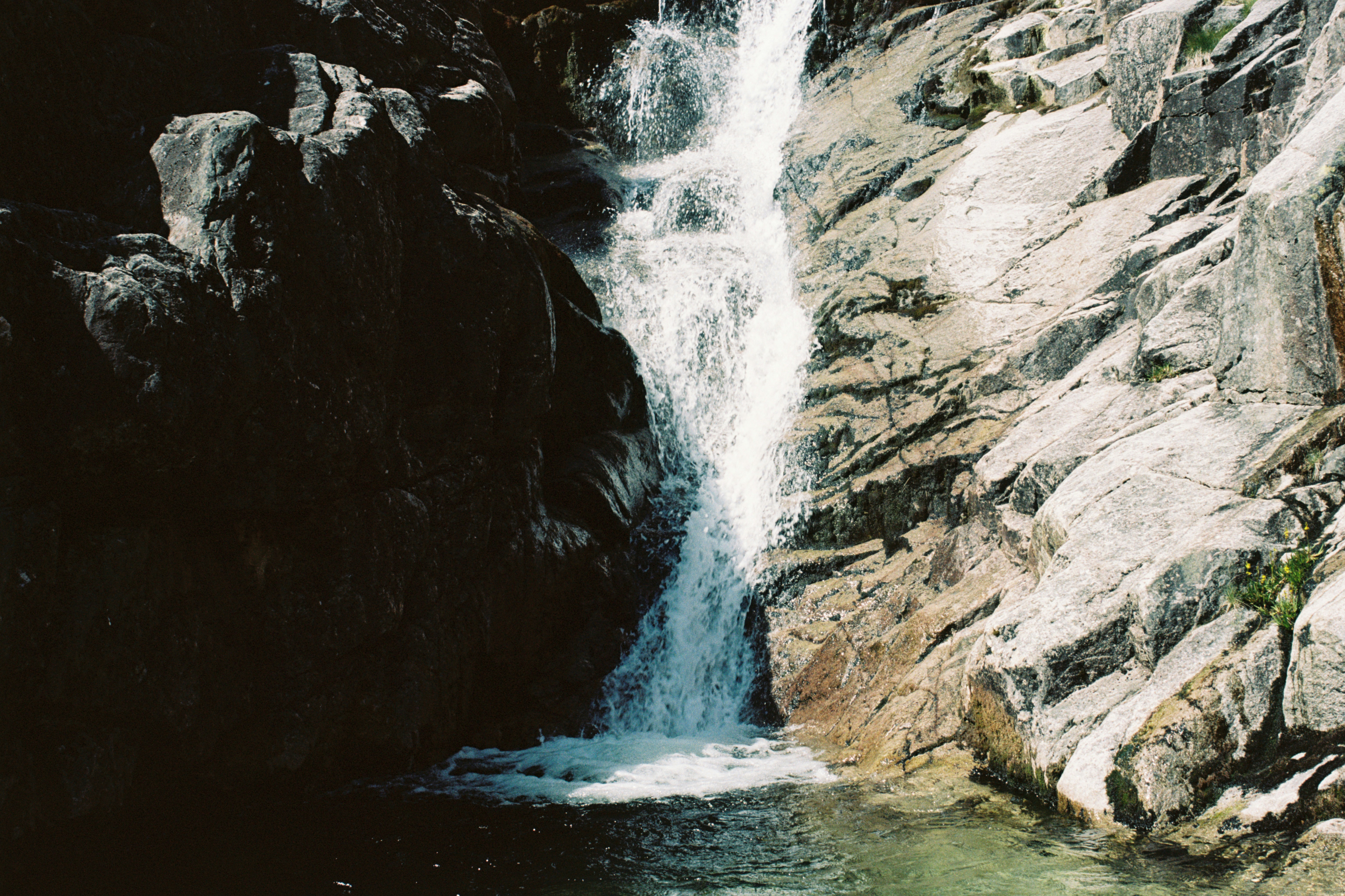 Photo by analoguematt