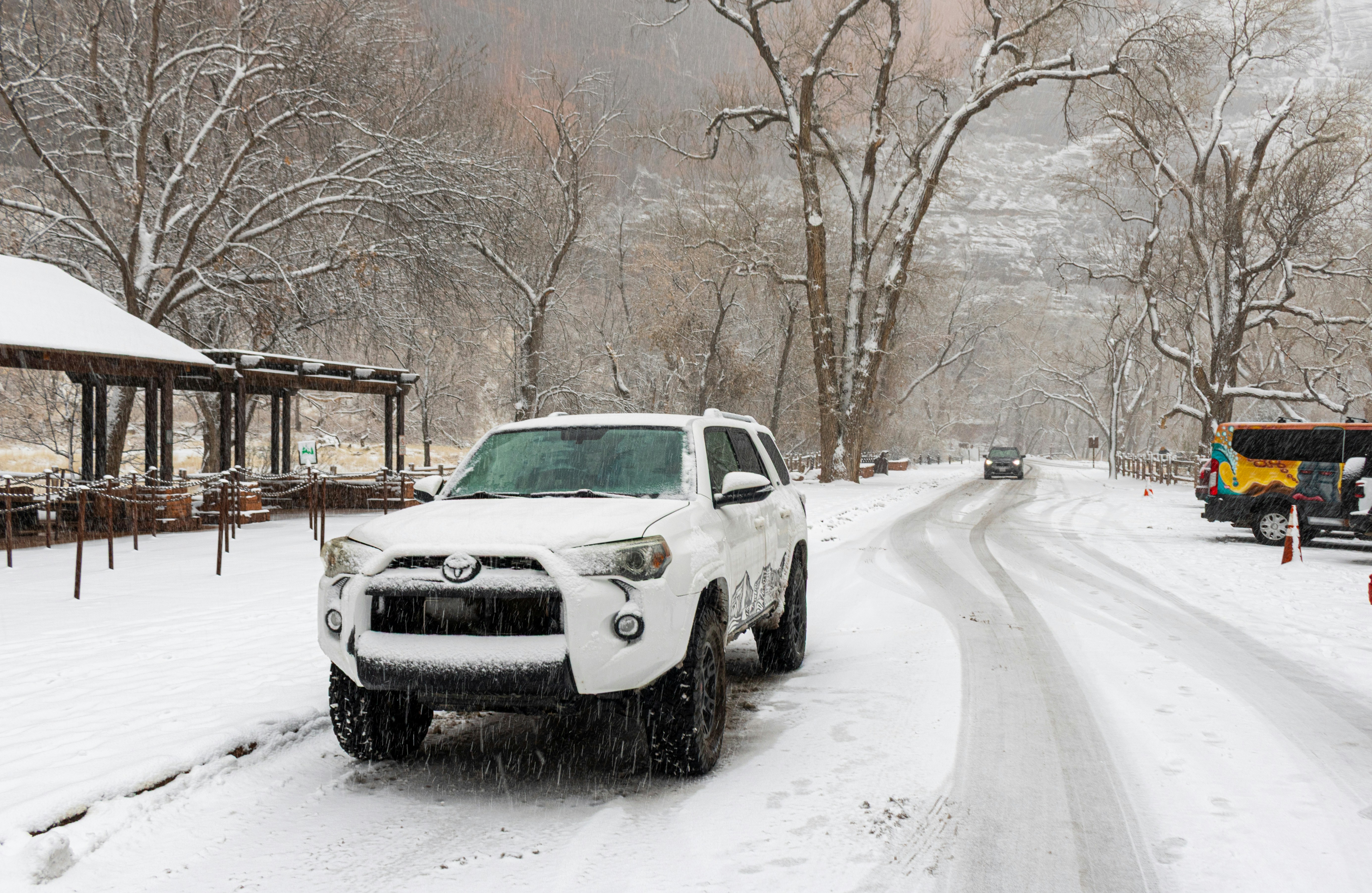 Photo by zoshuacolah