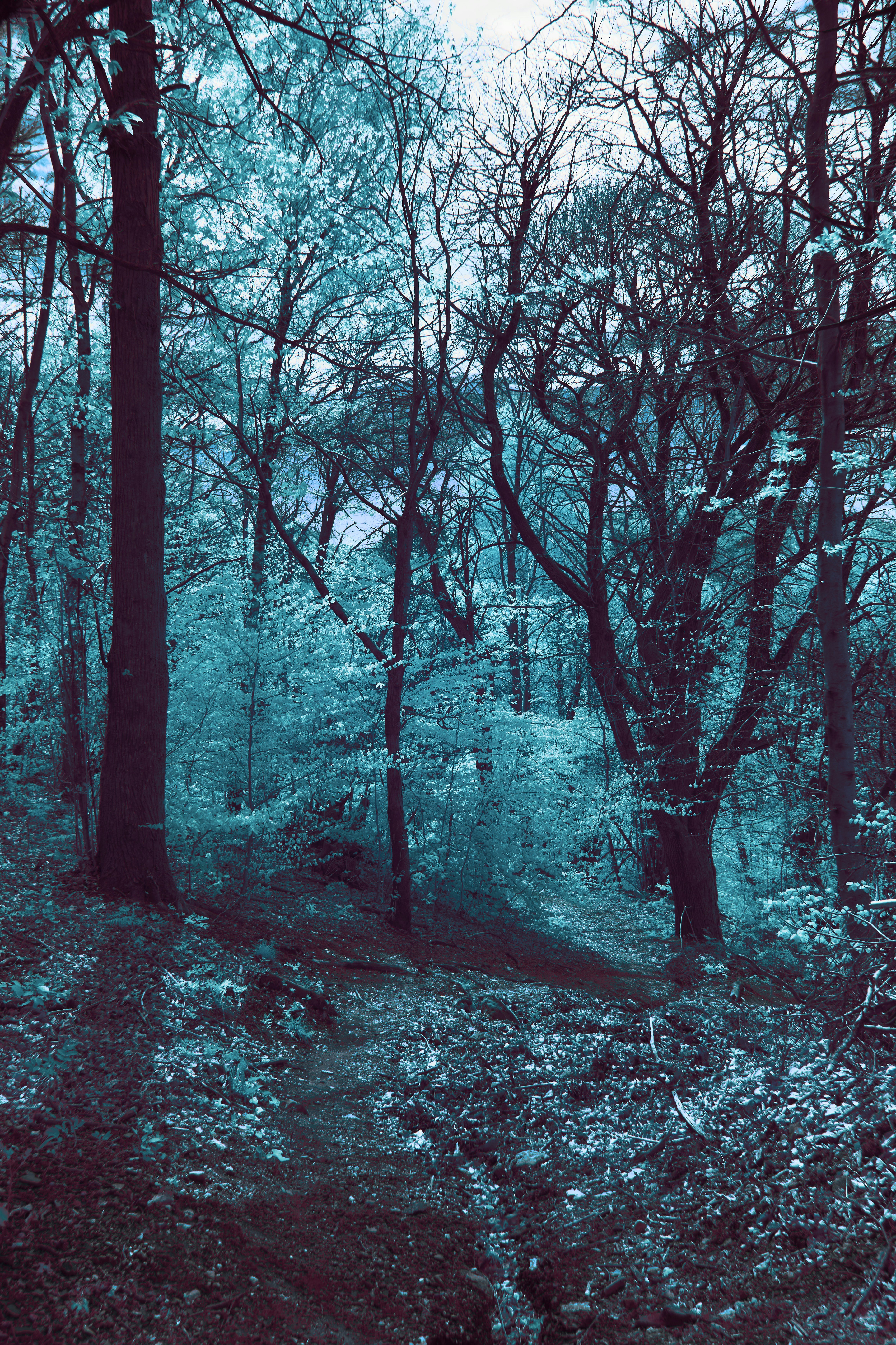 Photo by wolfgang_hasselmann