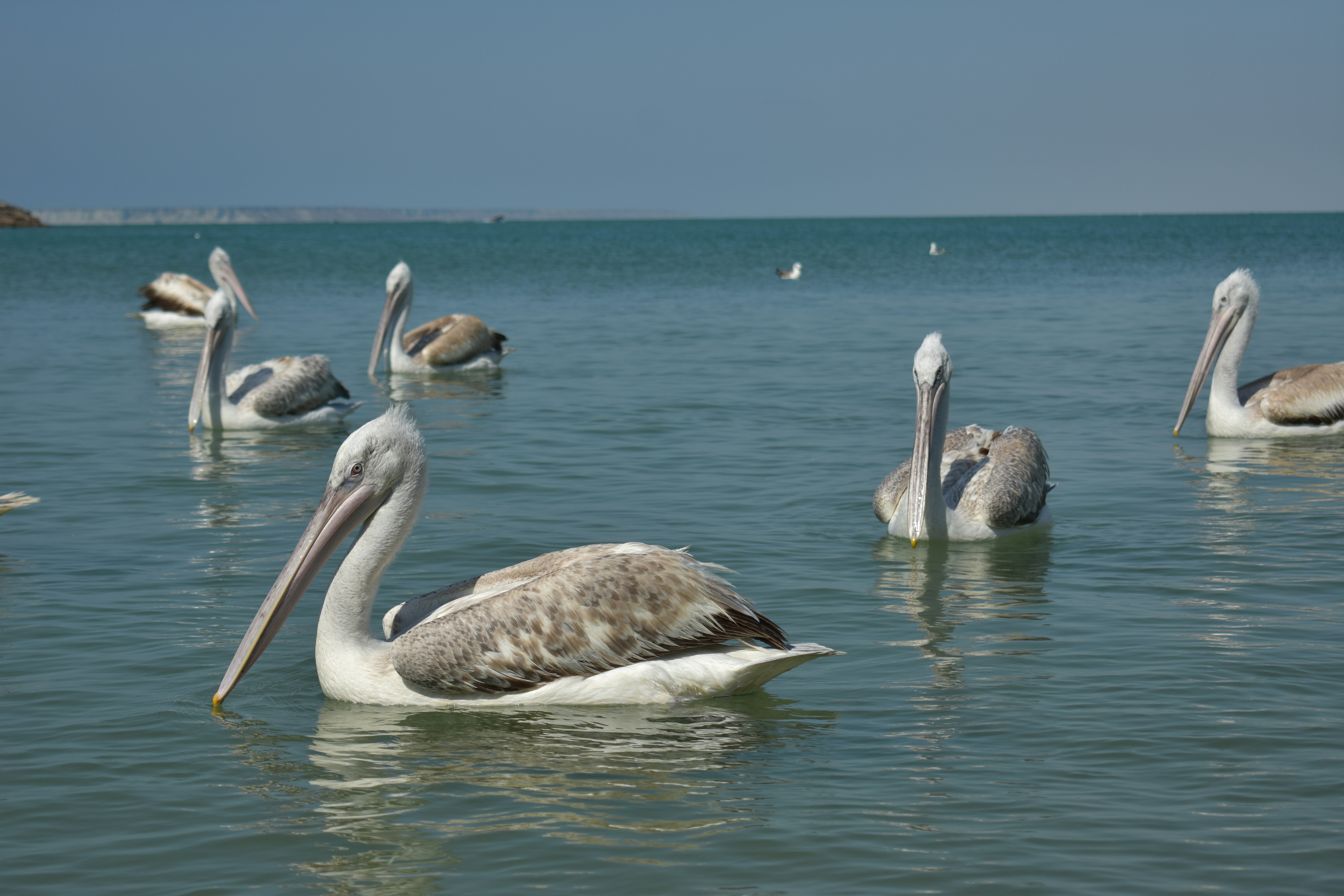 Photo by alitavakoli