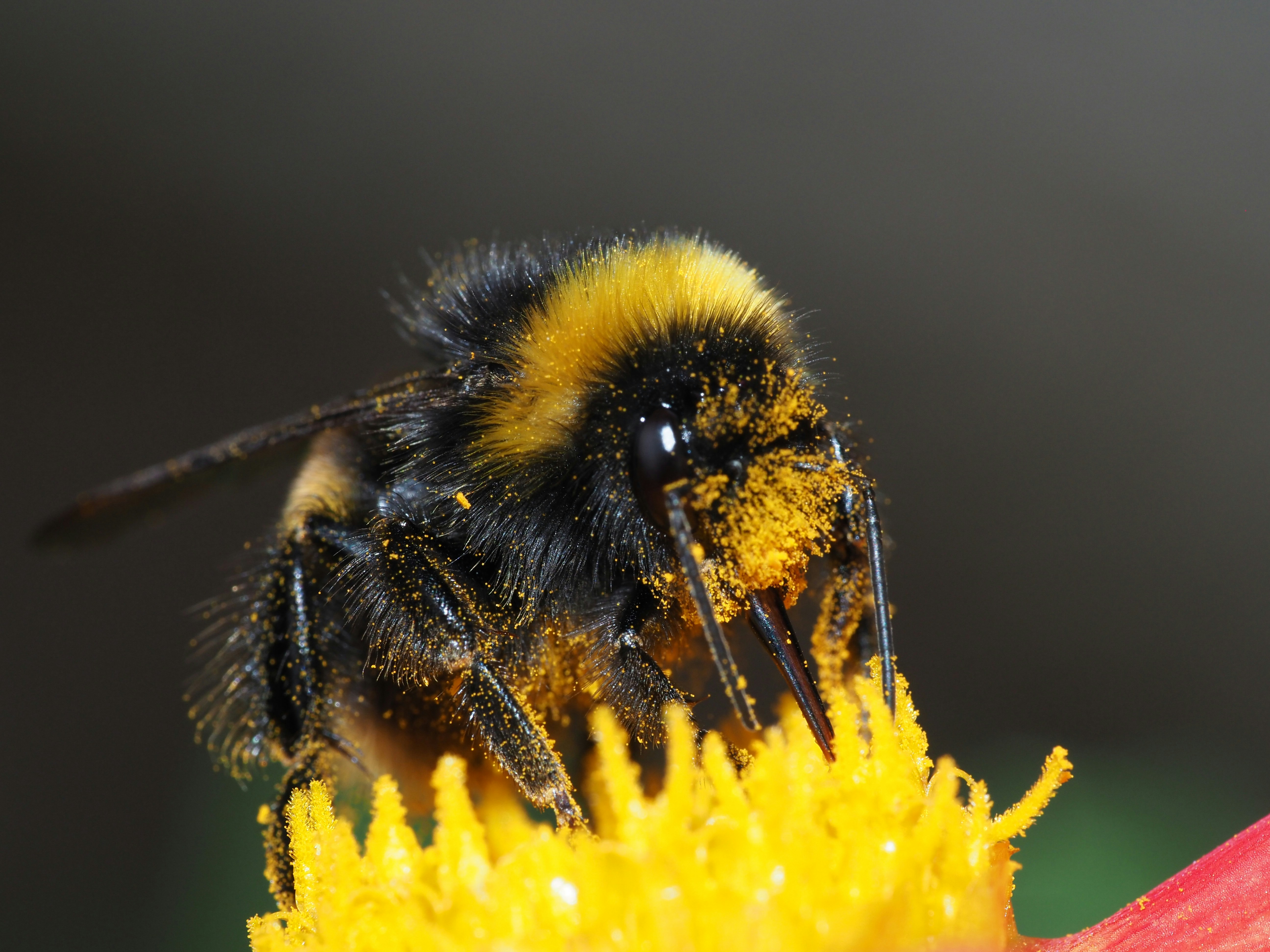 Photo by lottography