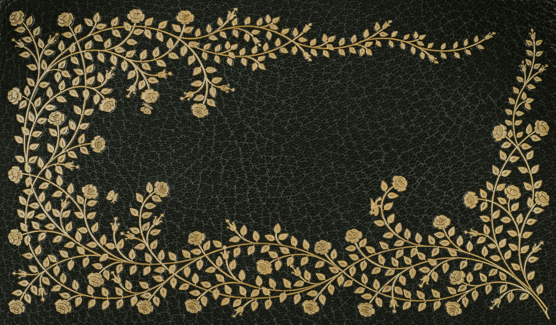 woman holding dried flower