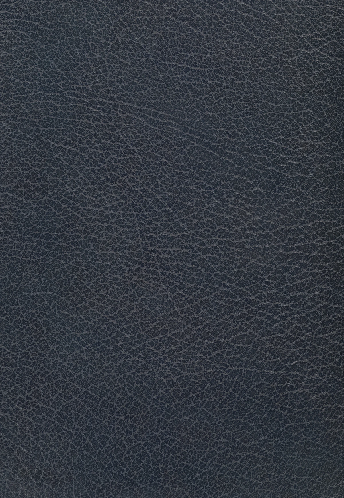 Dark blue leather with a pebbled grain