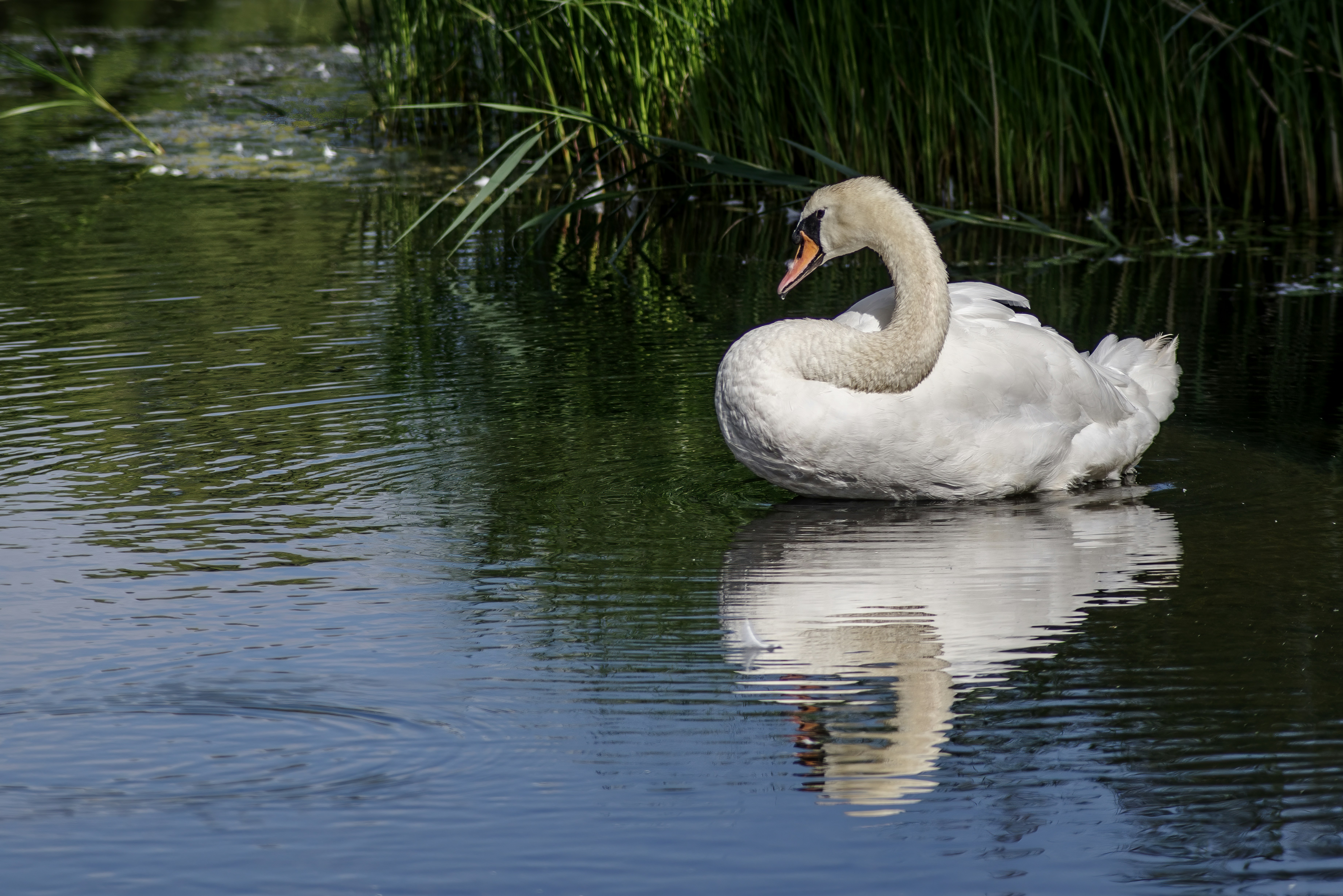 Photo by switch_dtp_fotografie