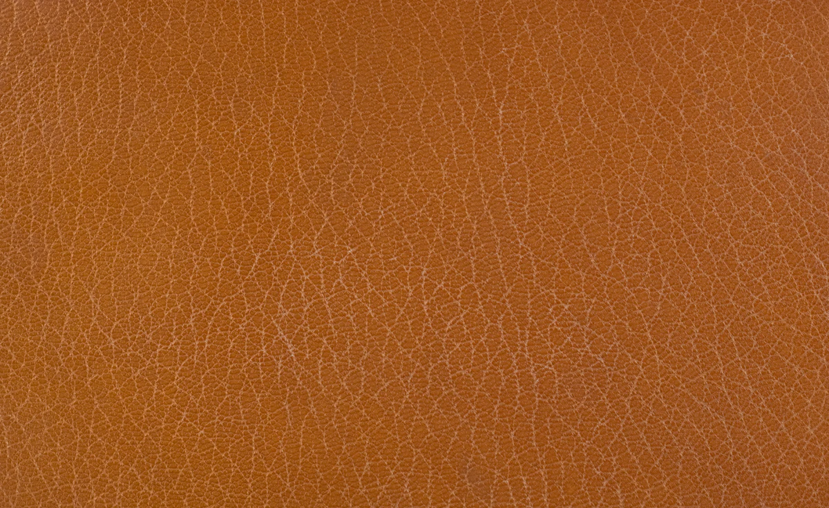 Close-up of tan leather grain