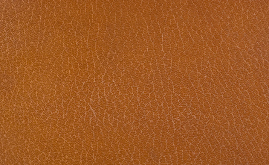 Close-up of leather grain