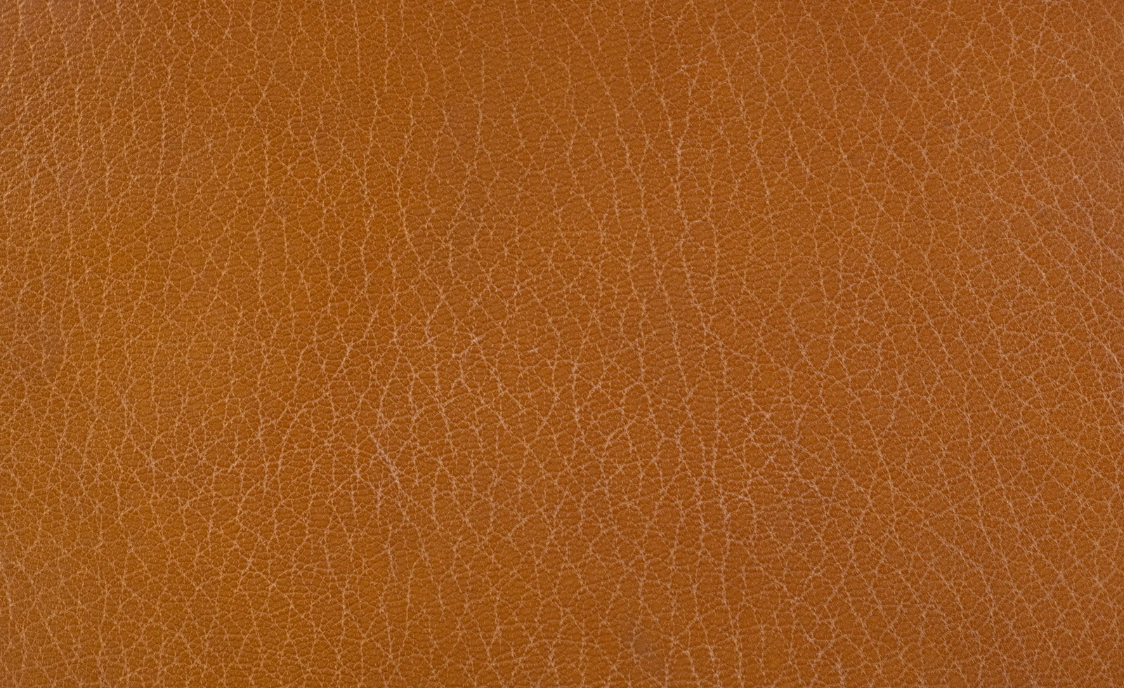 Avant · Patine