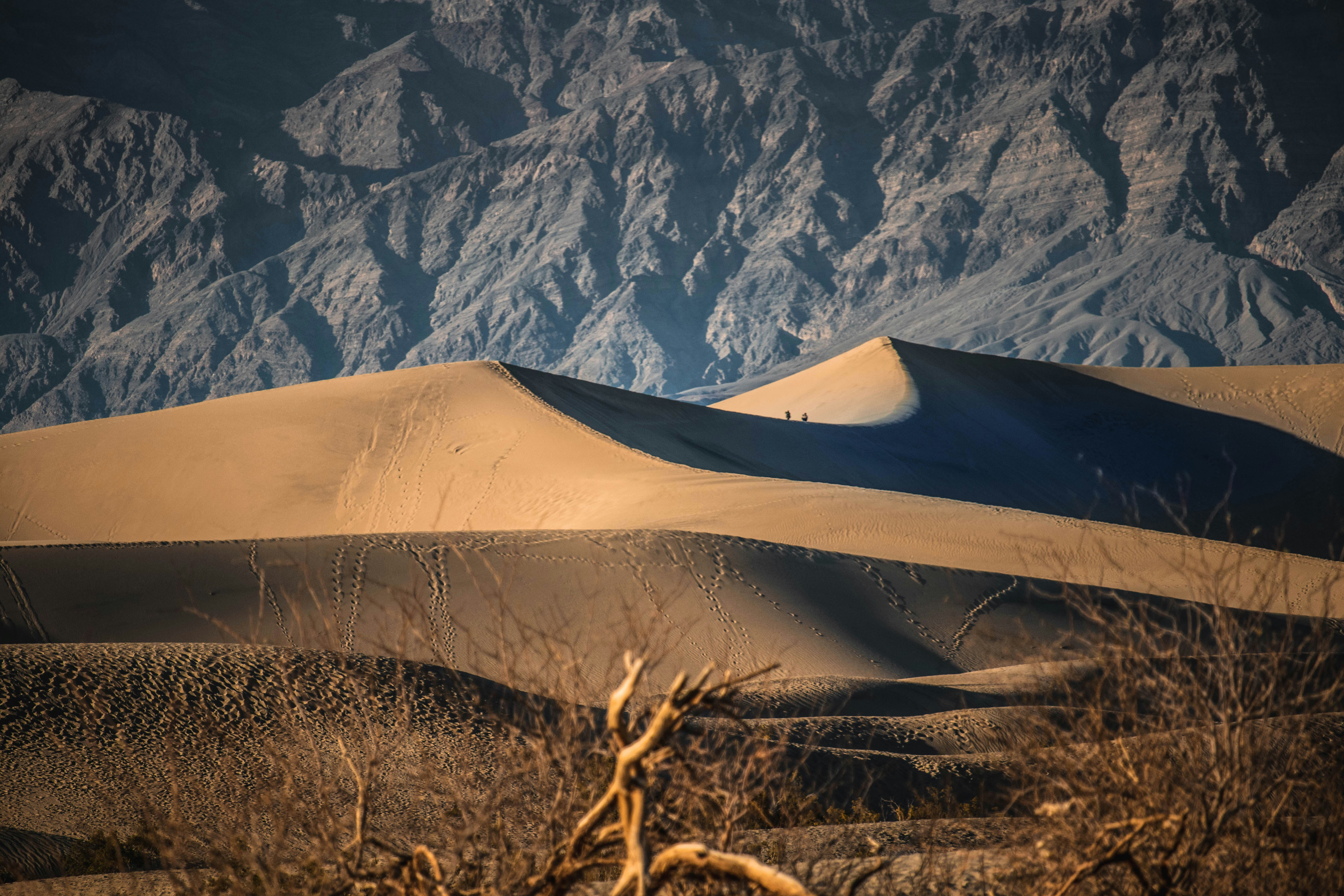 Golden sand dunes with distant rocky mountains
