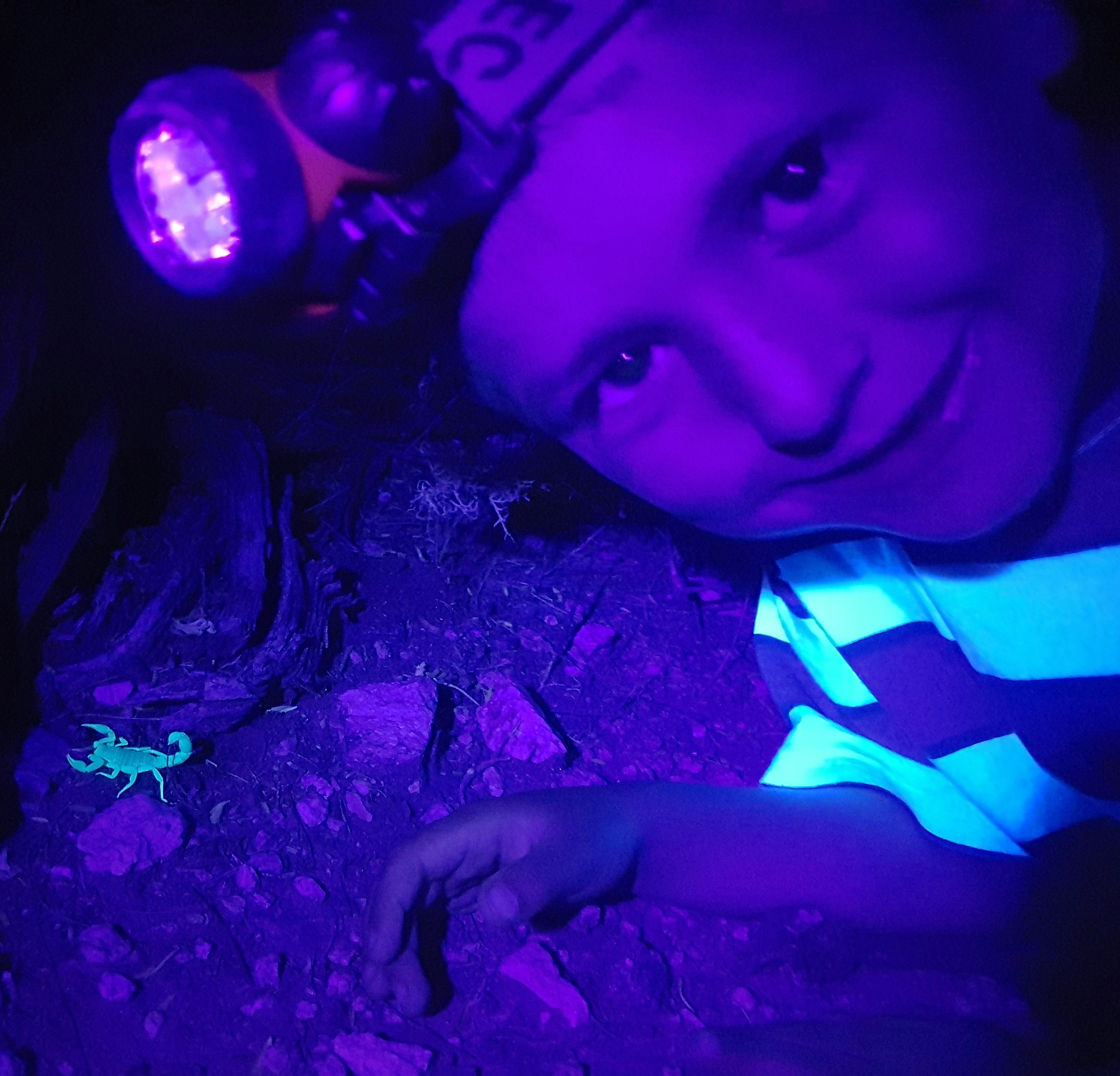 Child with glowing scorpion under uv light