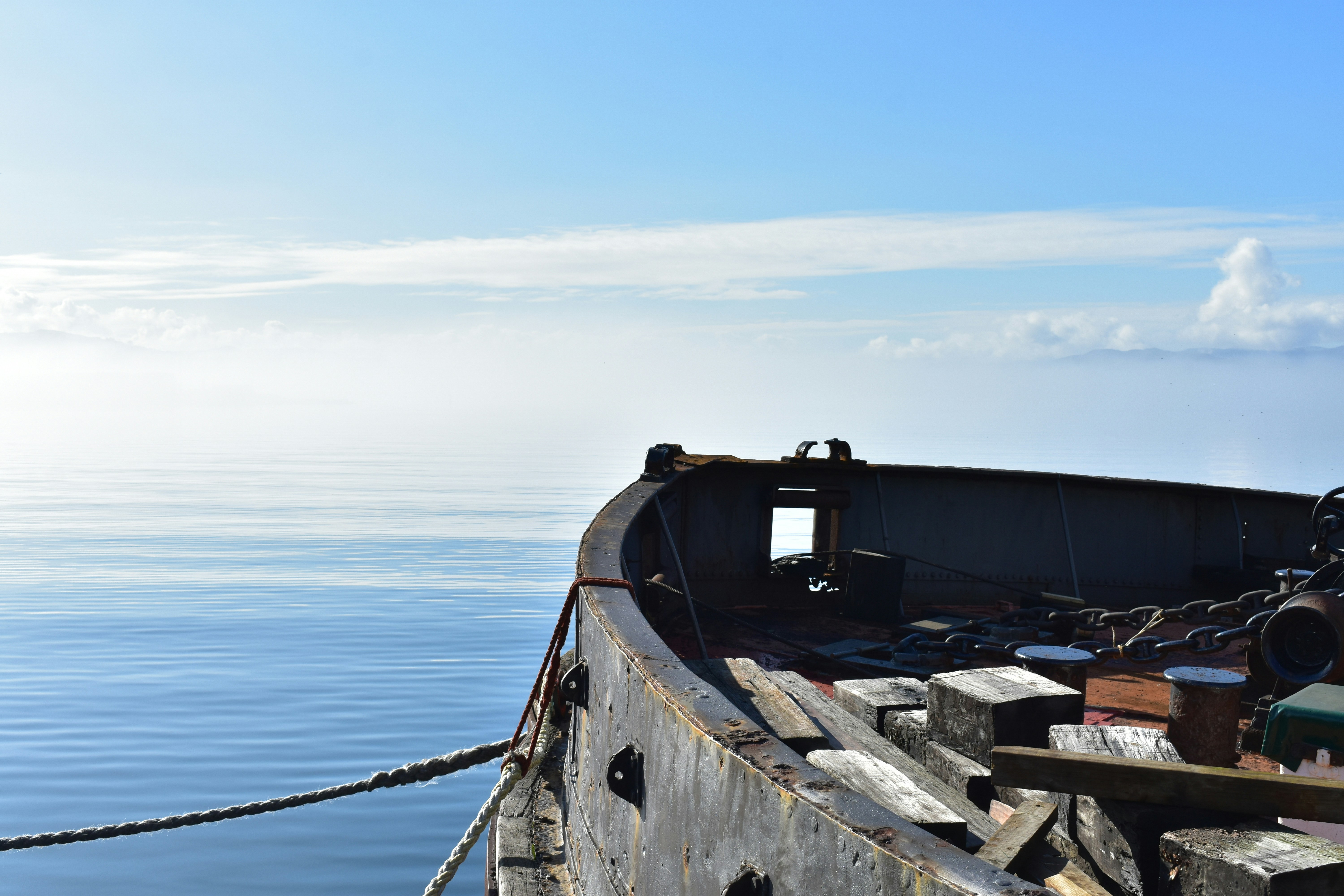 Photo by sschusterphotoart