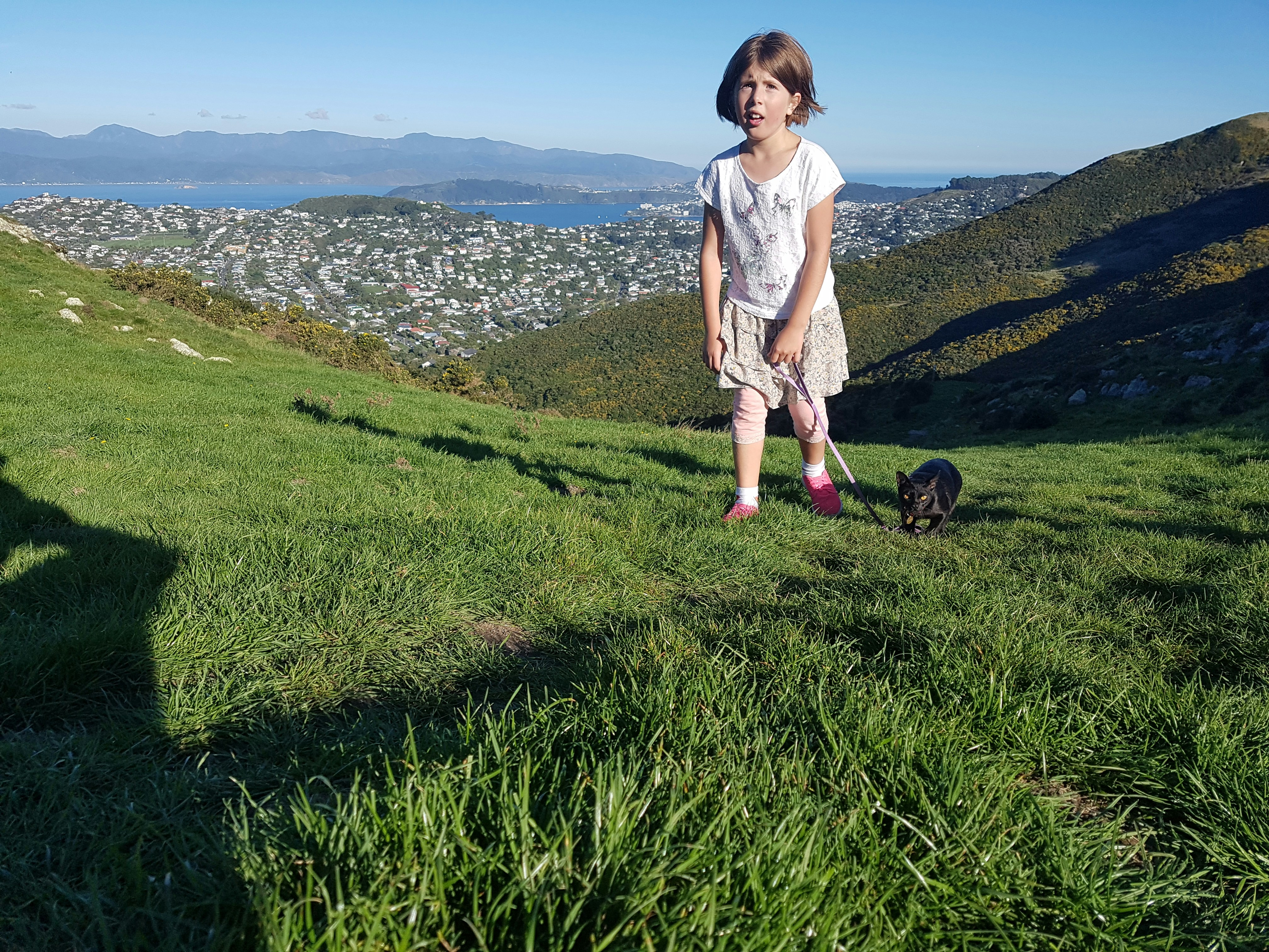 Rapariga e cão pequeno no monte gramíneo que negligencia a cidade