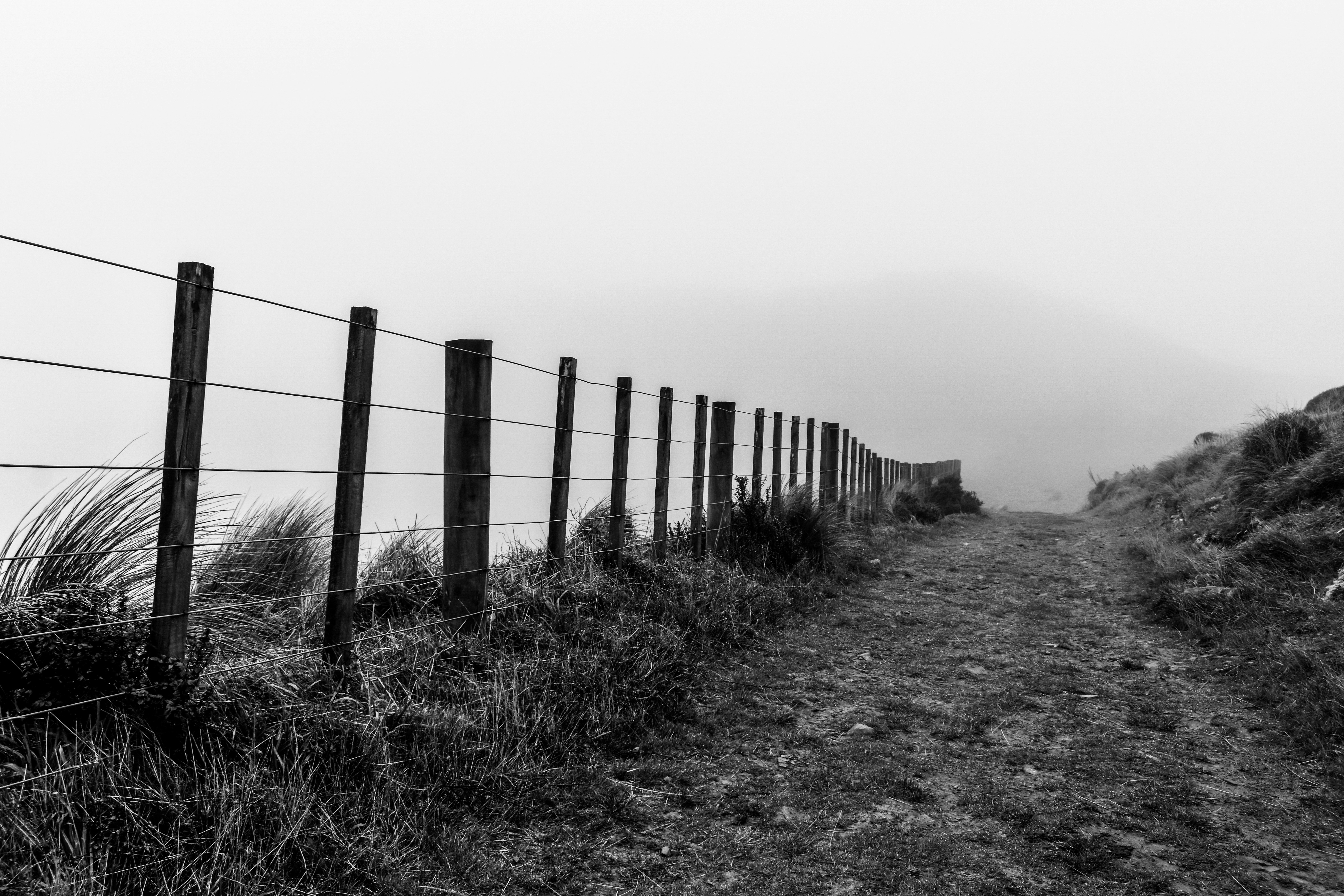 Photo by sschusterphotoart