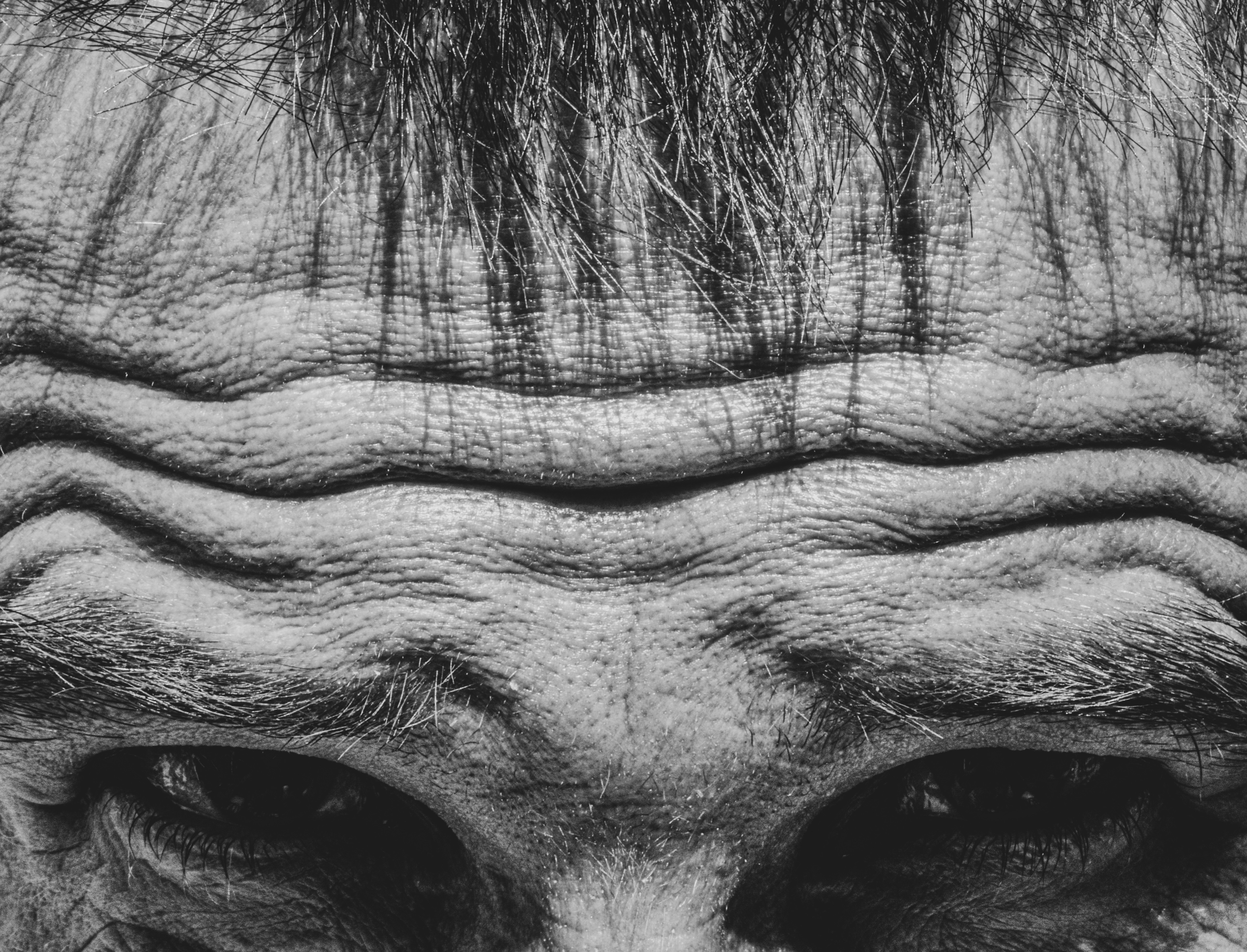 しわのある高齢者の額のクローズアップ。