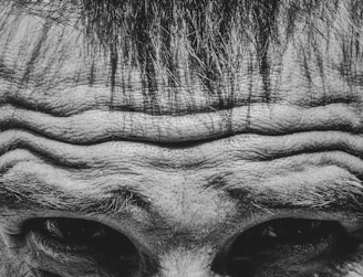 Close-up of an elderly person's forehead with wrinkles