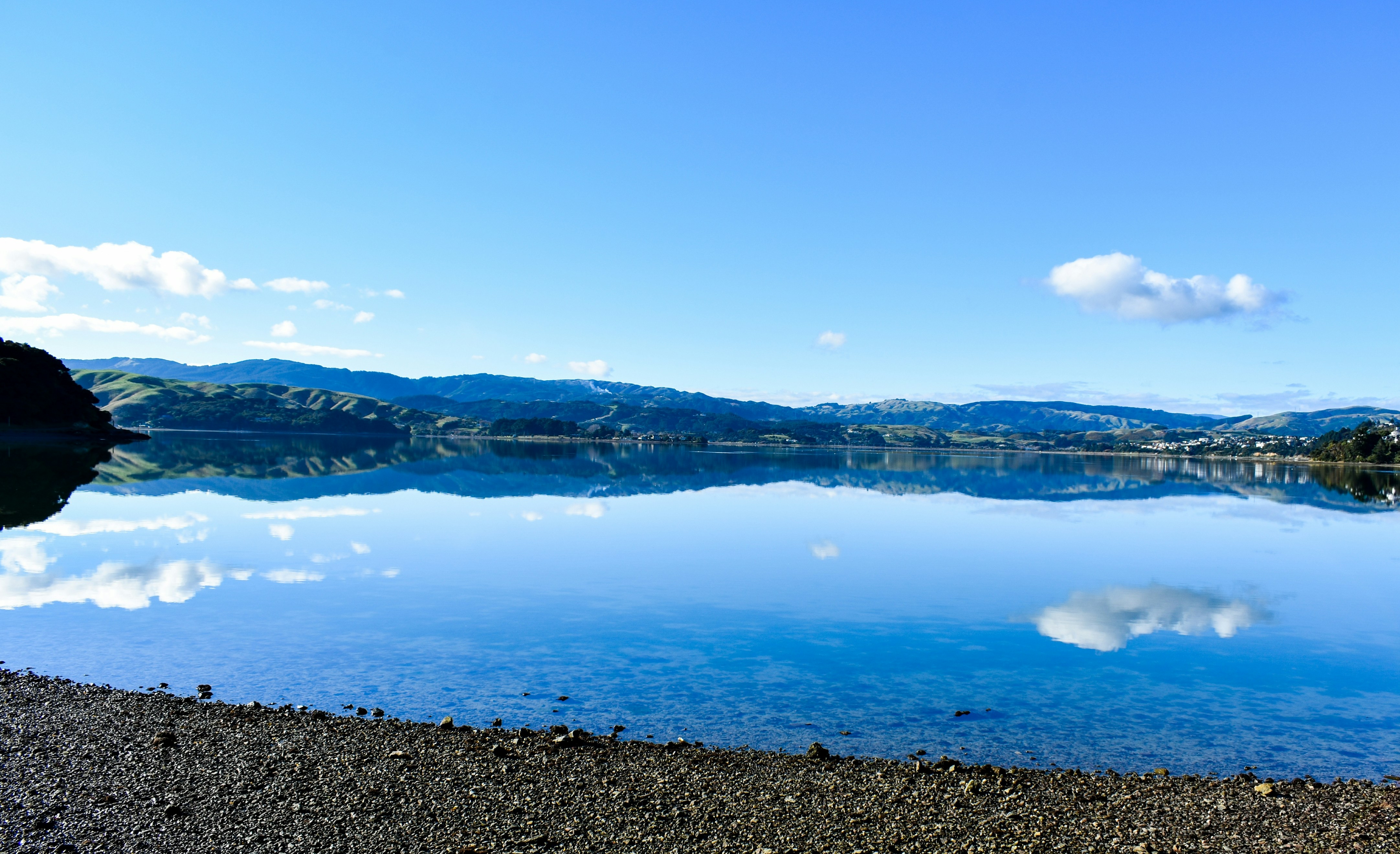 Photo by sschusterphotoart