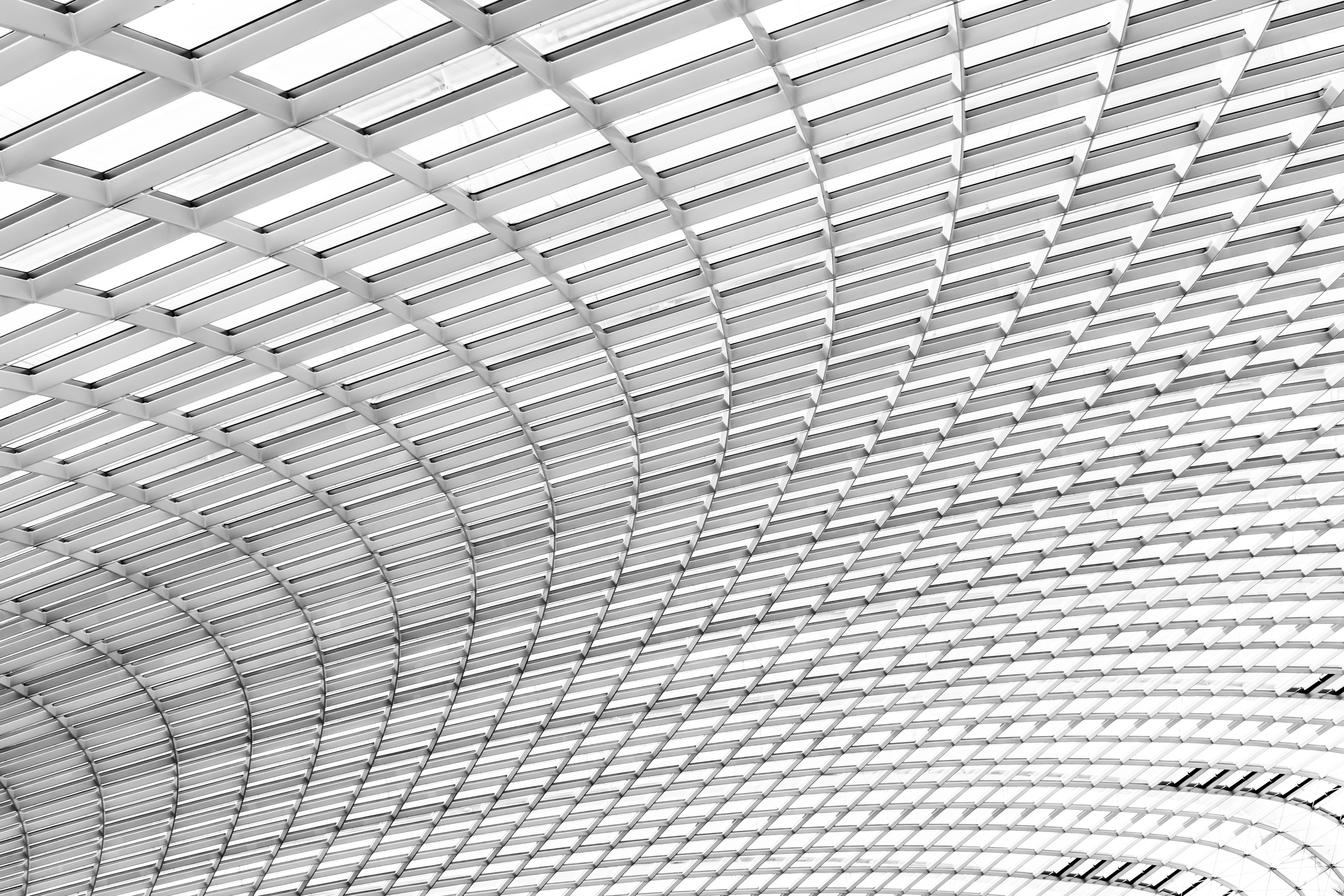 Photo by sschusterphotoart