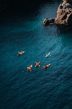 Kayakers paddle near a rocky coastline on a sunny day