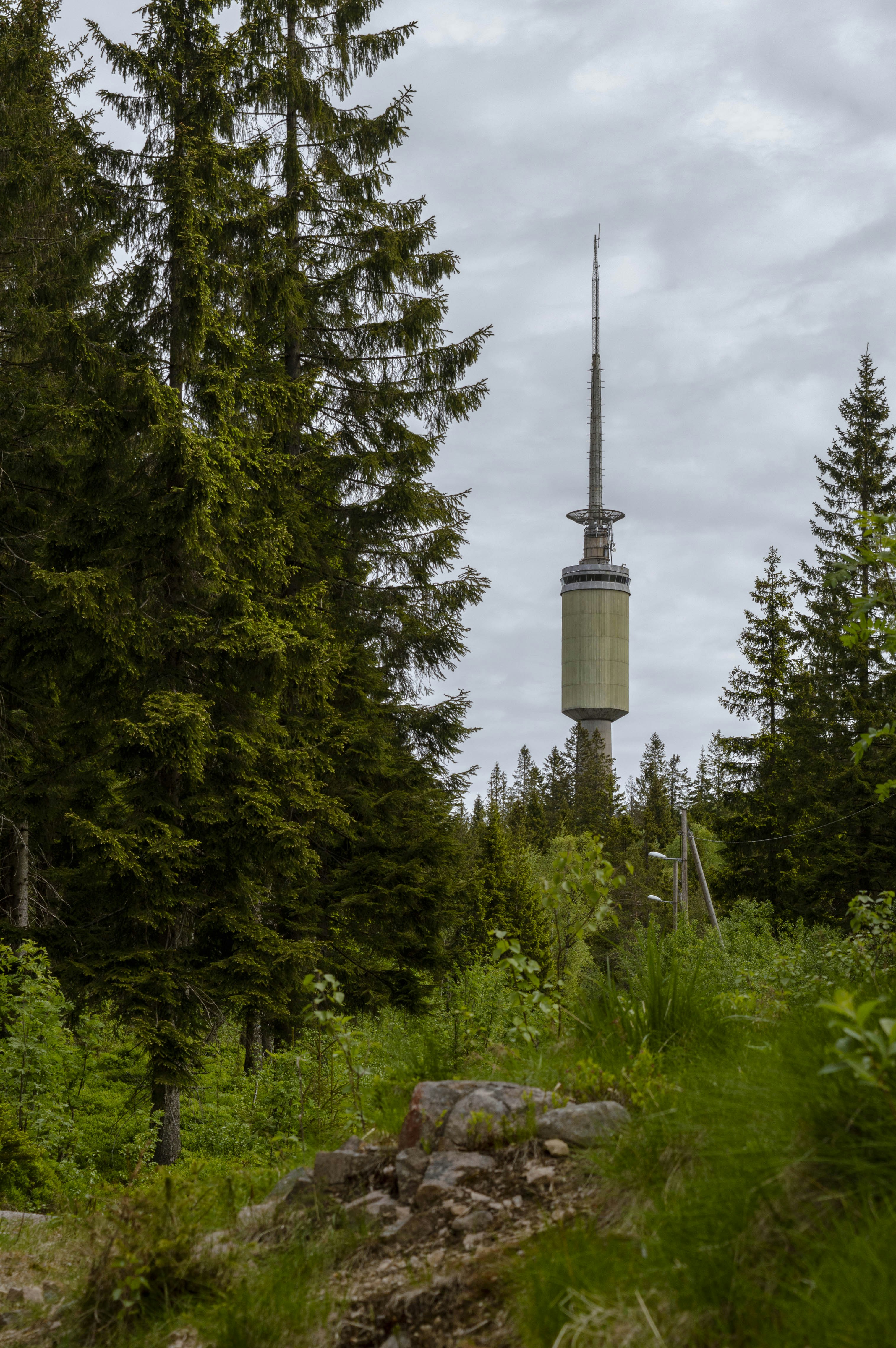 Ein hoher Turm erhebt sich über einem dichten Wald