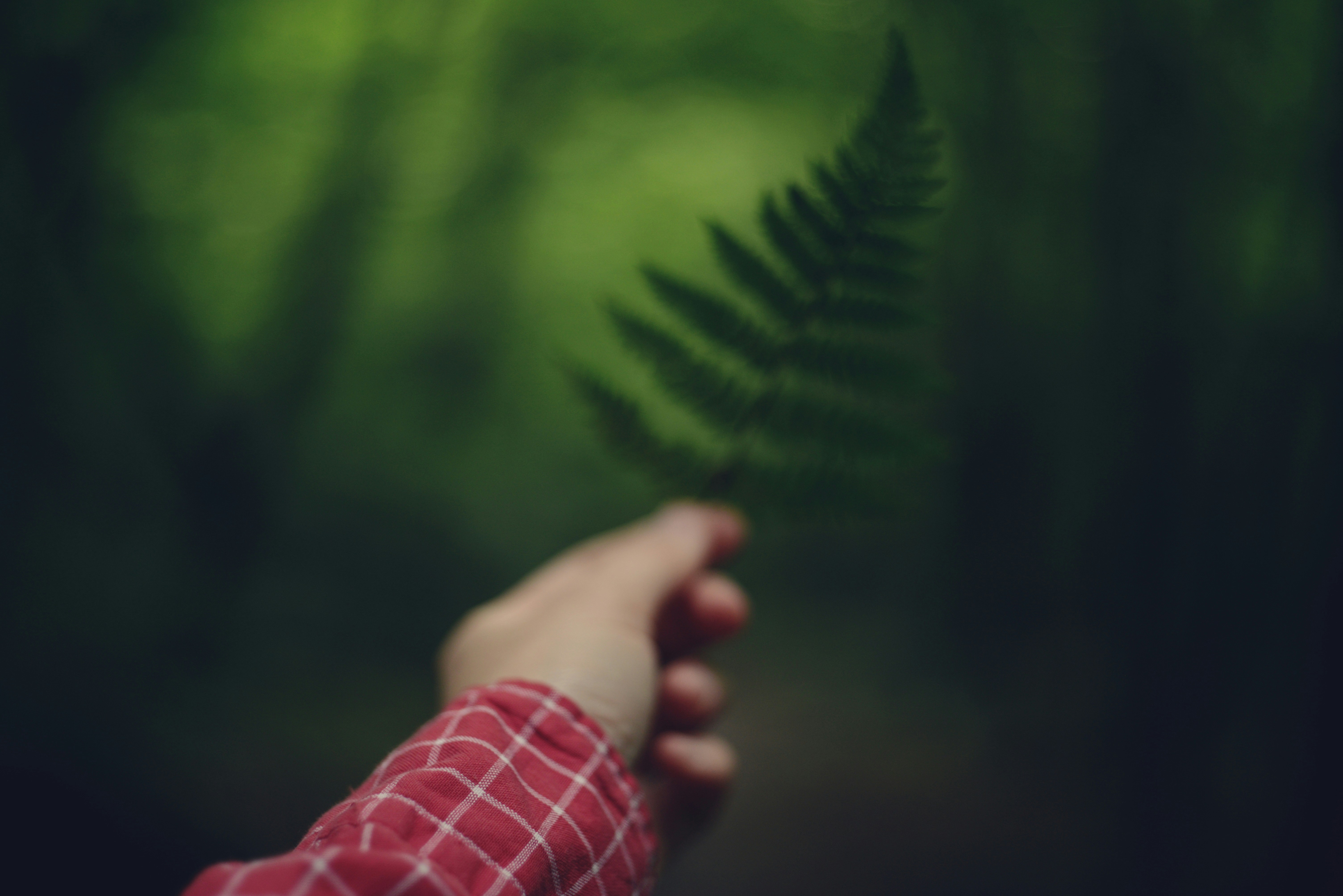 Photo by cherstve_pechivo