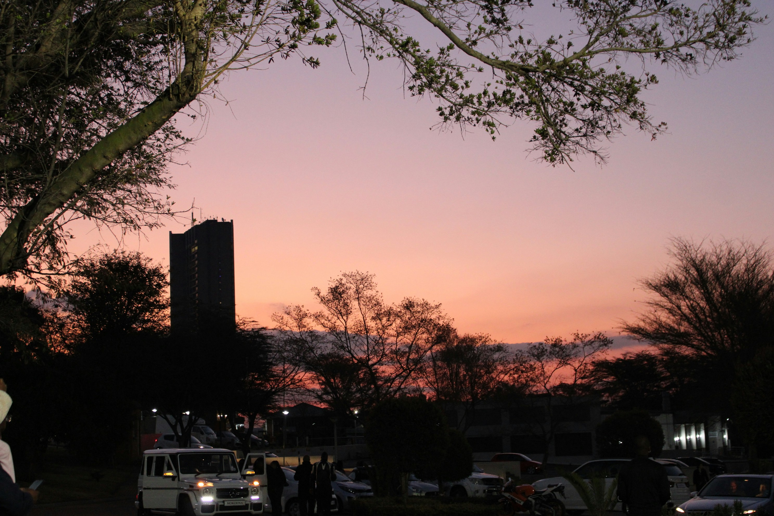 Purple and orange sunset over silhouetted trees and buildings