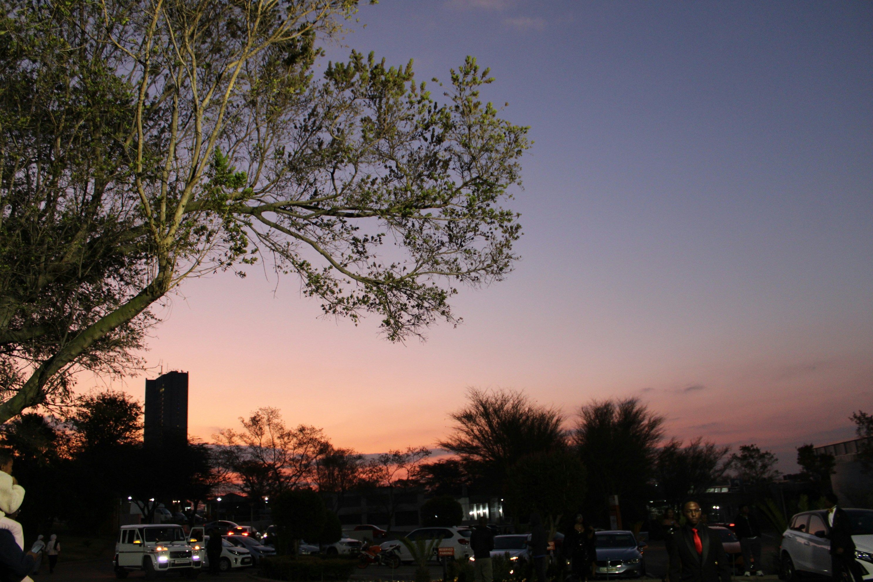 Beautiful sunset sky over trees and vehicles