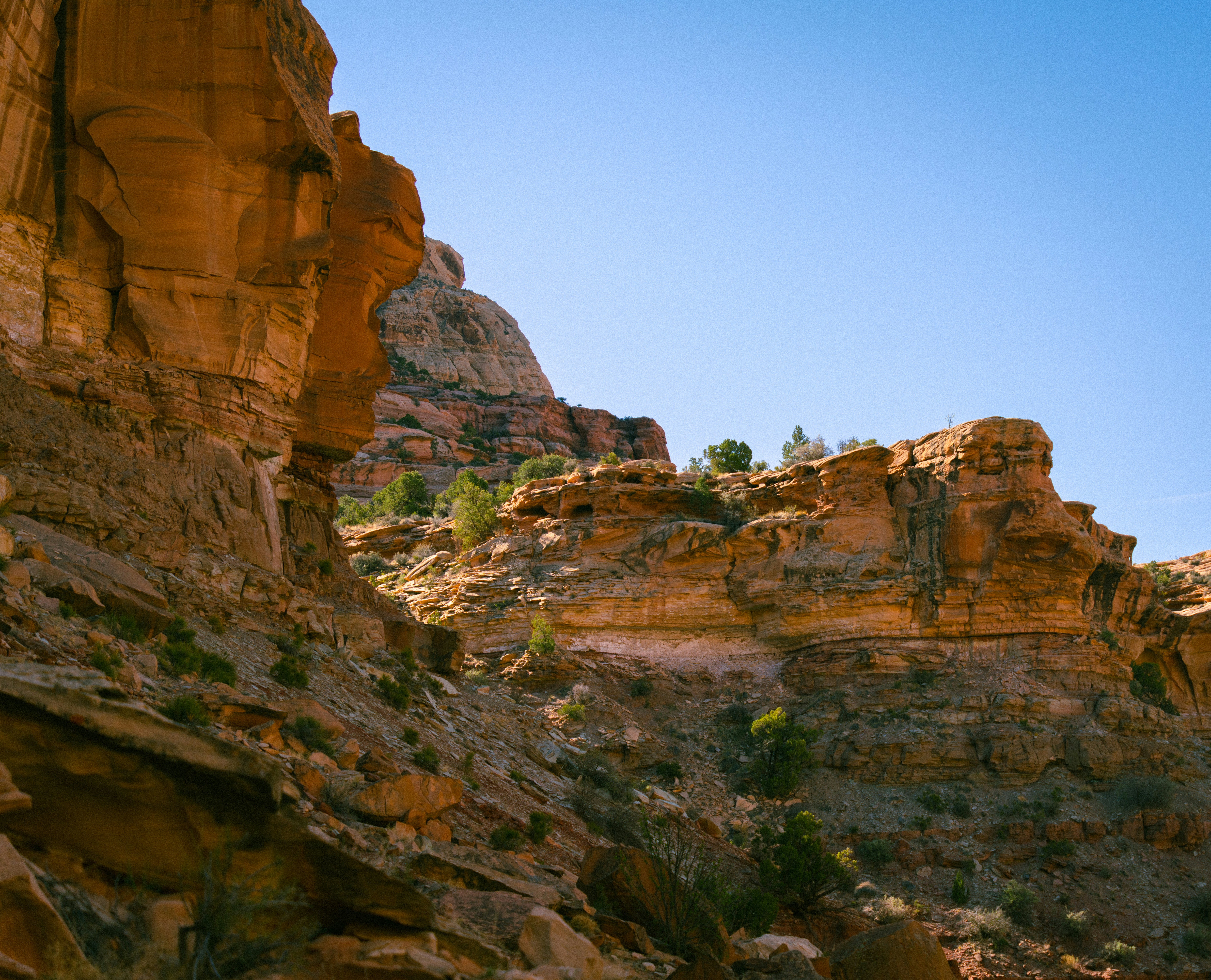 Sunlit desert canyon with sandstone cliffs and blue sky