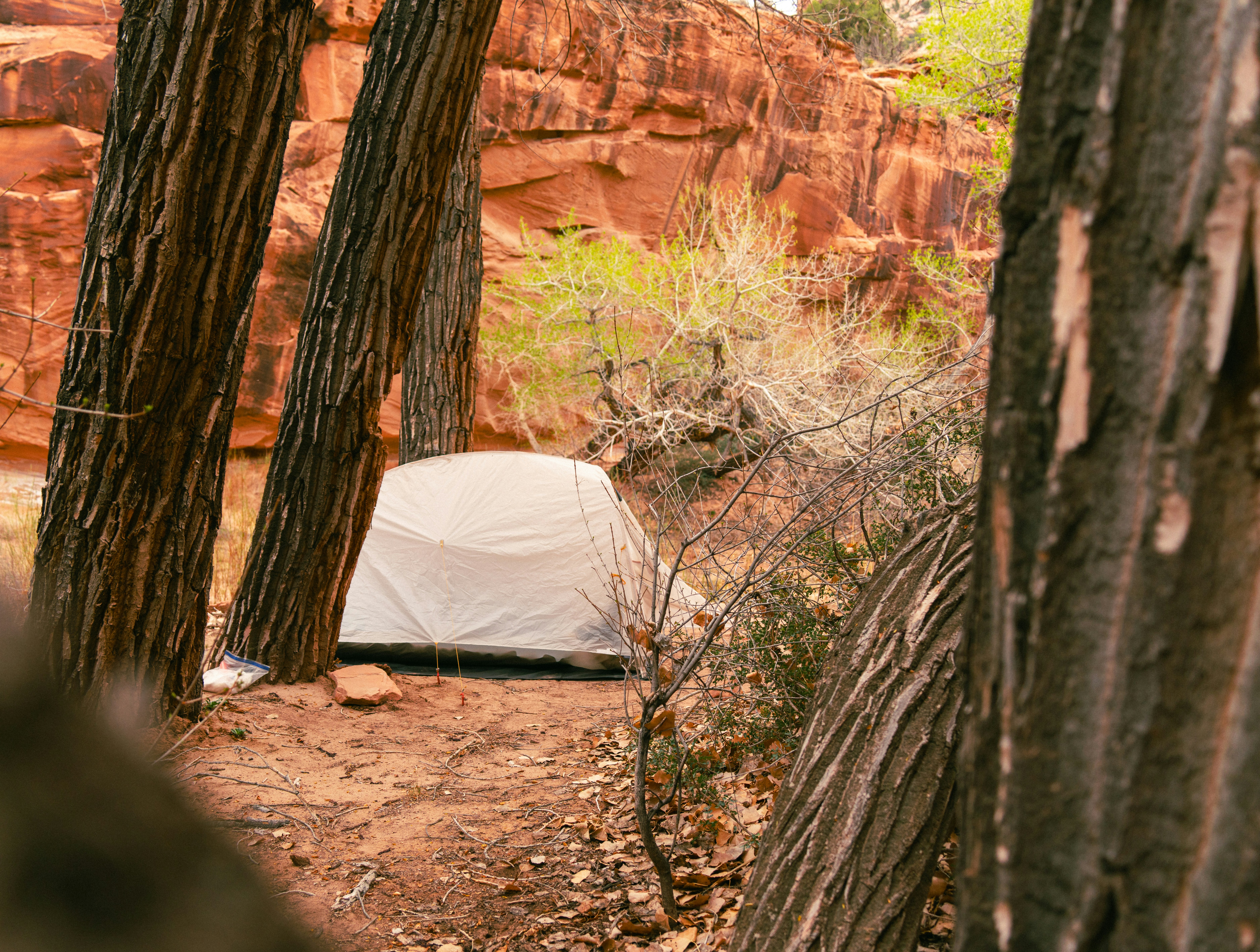 Photo by alexmoliski