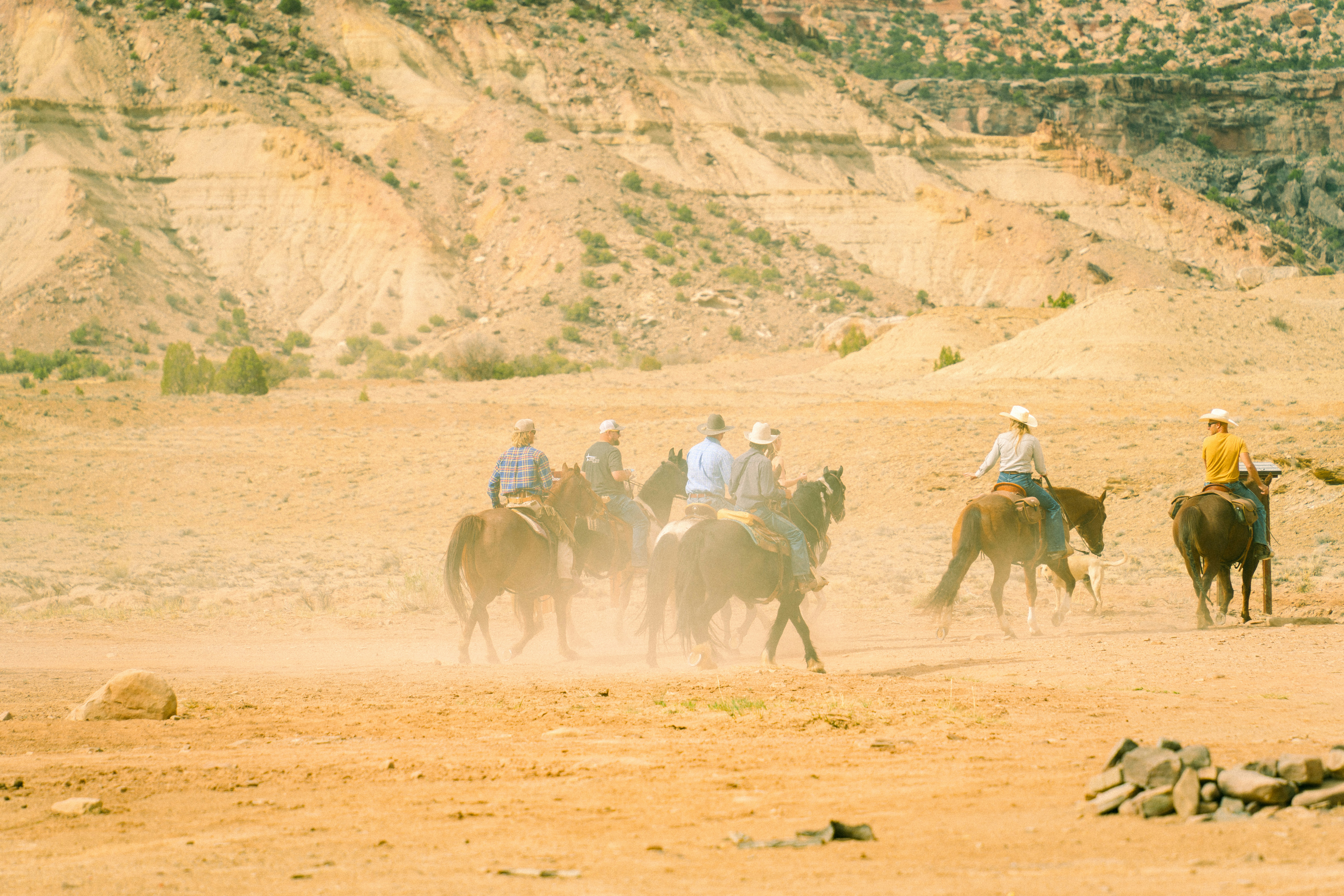 Photo by alexmoliski