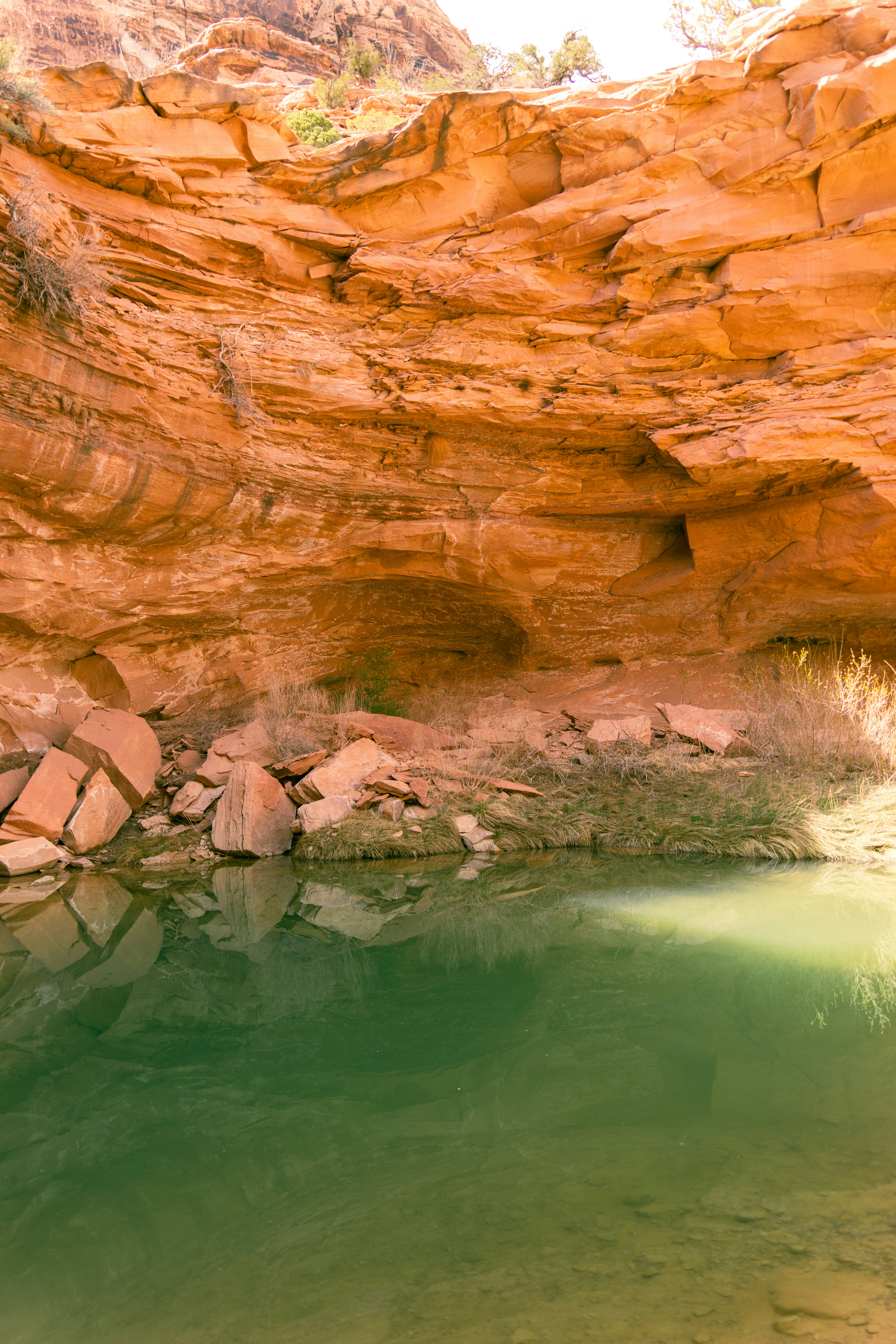 Green water pool reflects sandstone cliffs in desert canyon
