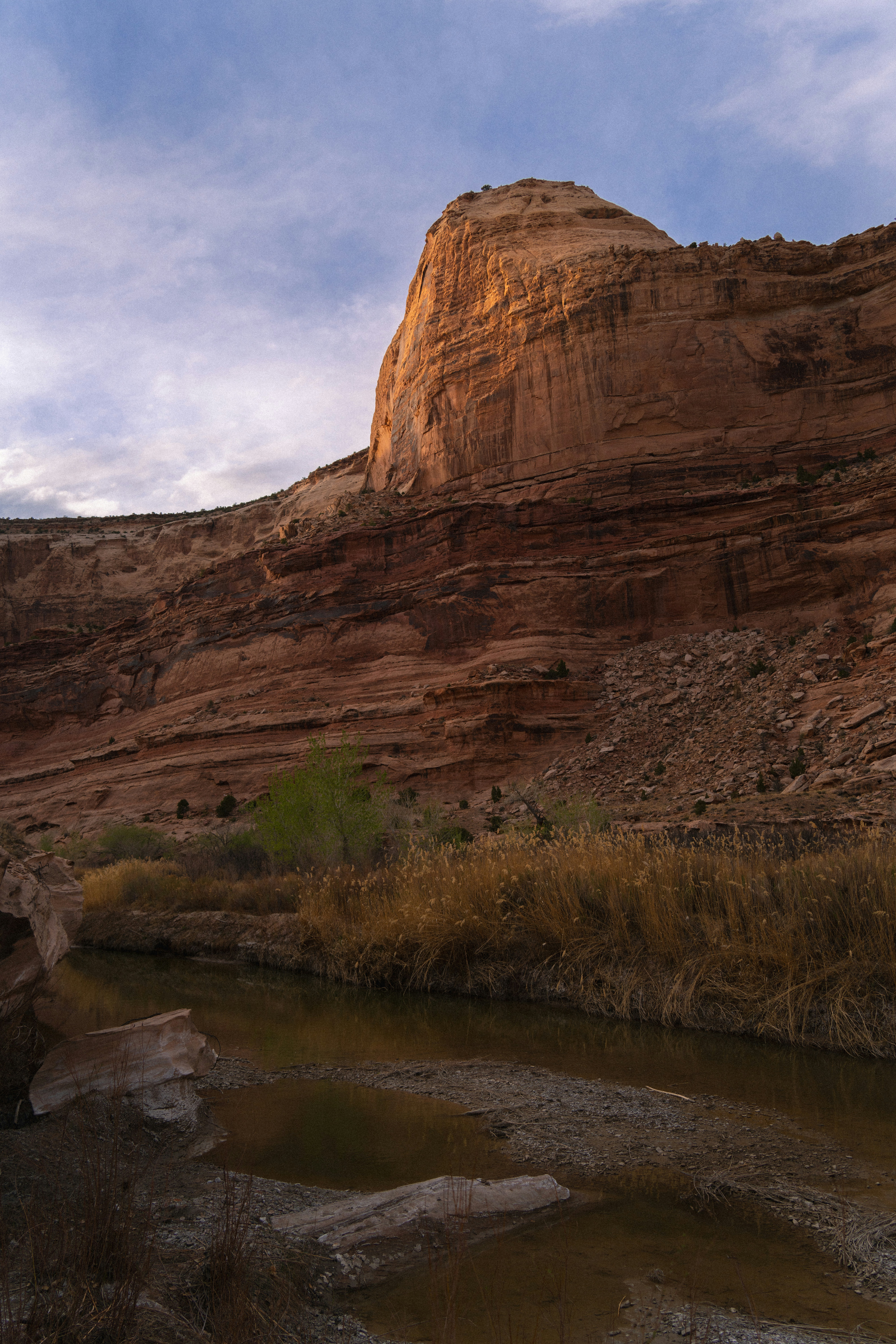 Canyon wall with river and dry grass at sunset.