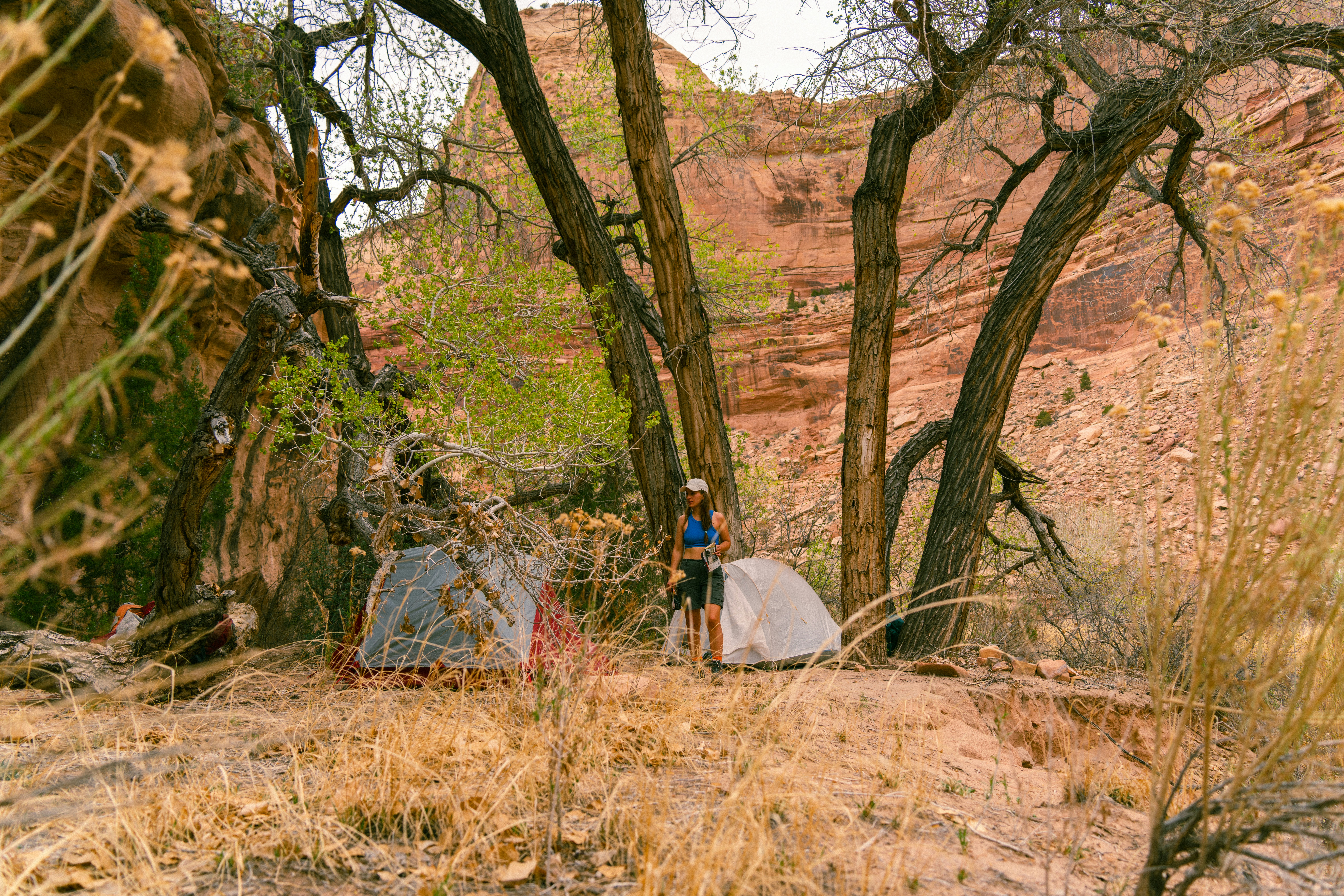 Photo by alexmoliski