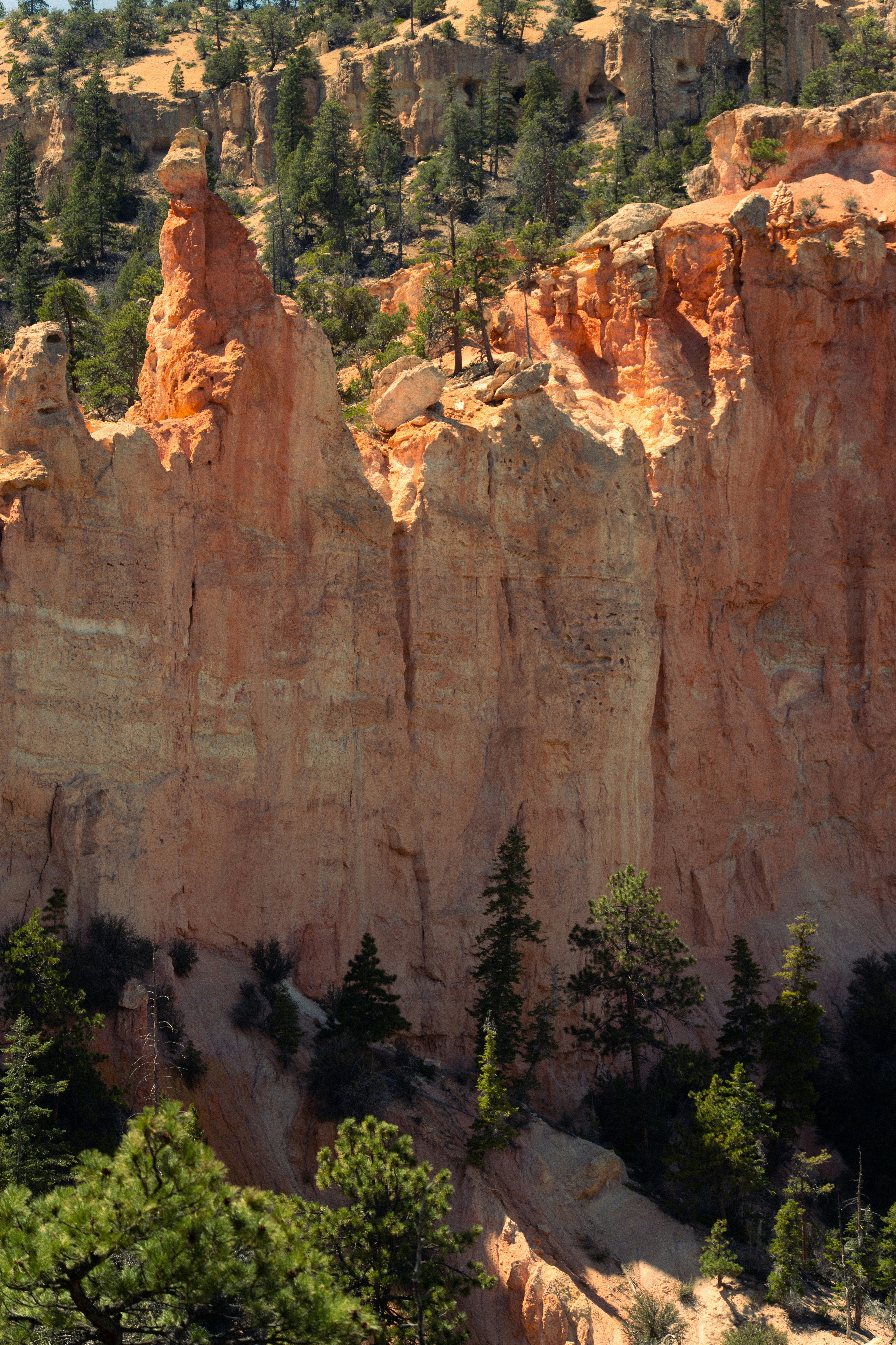 Photo by alexmoliski