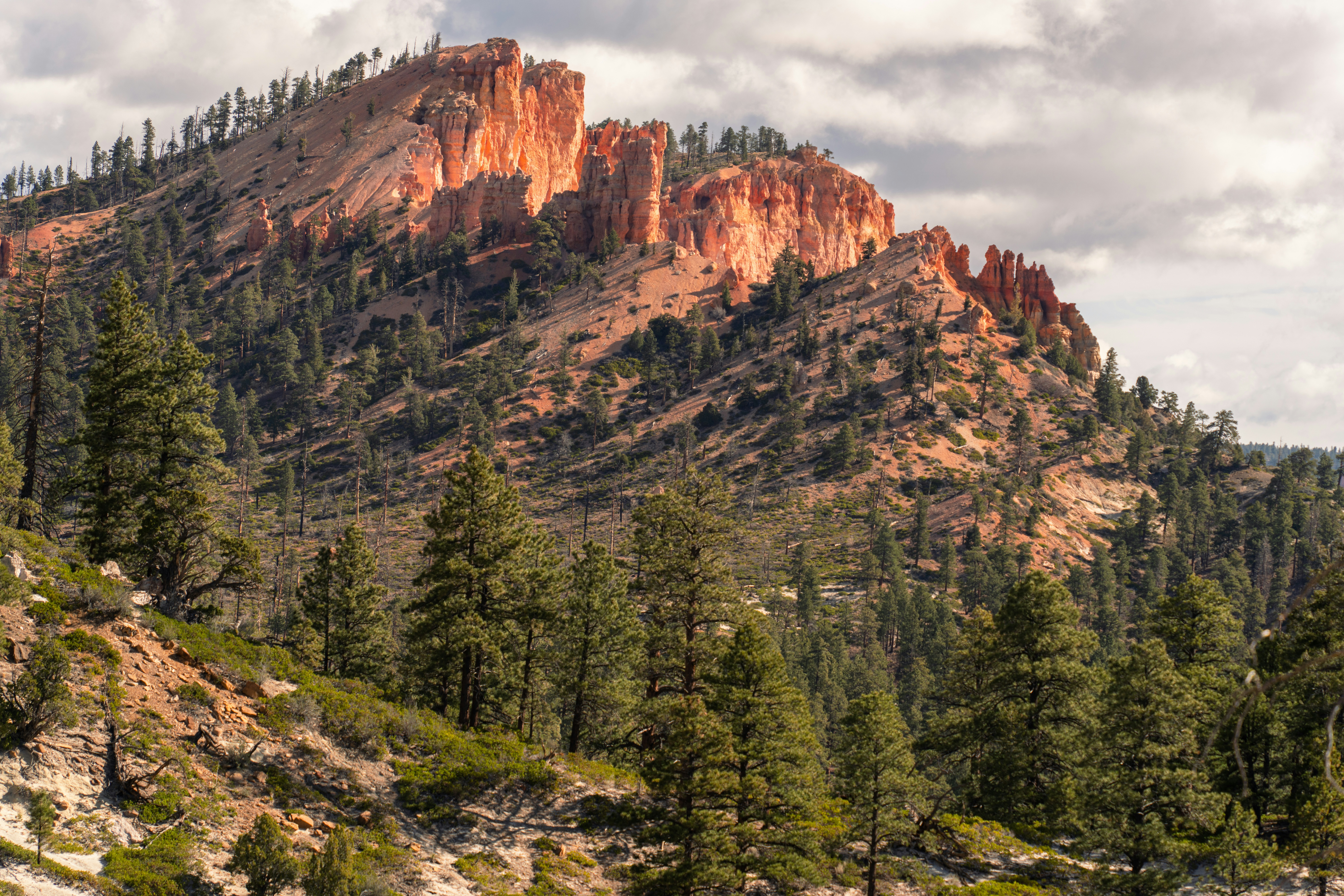 Photo by alexmoliski