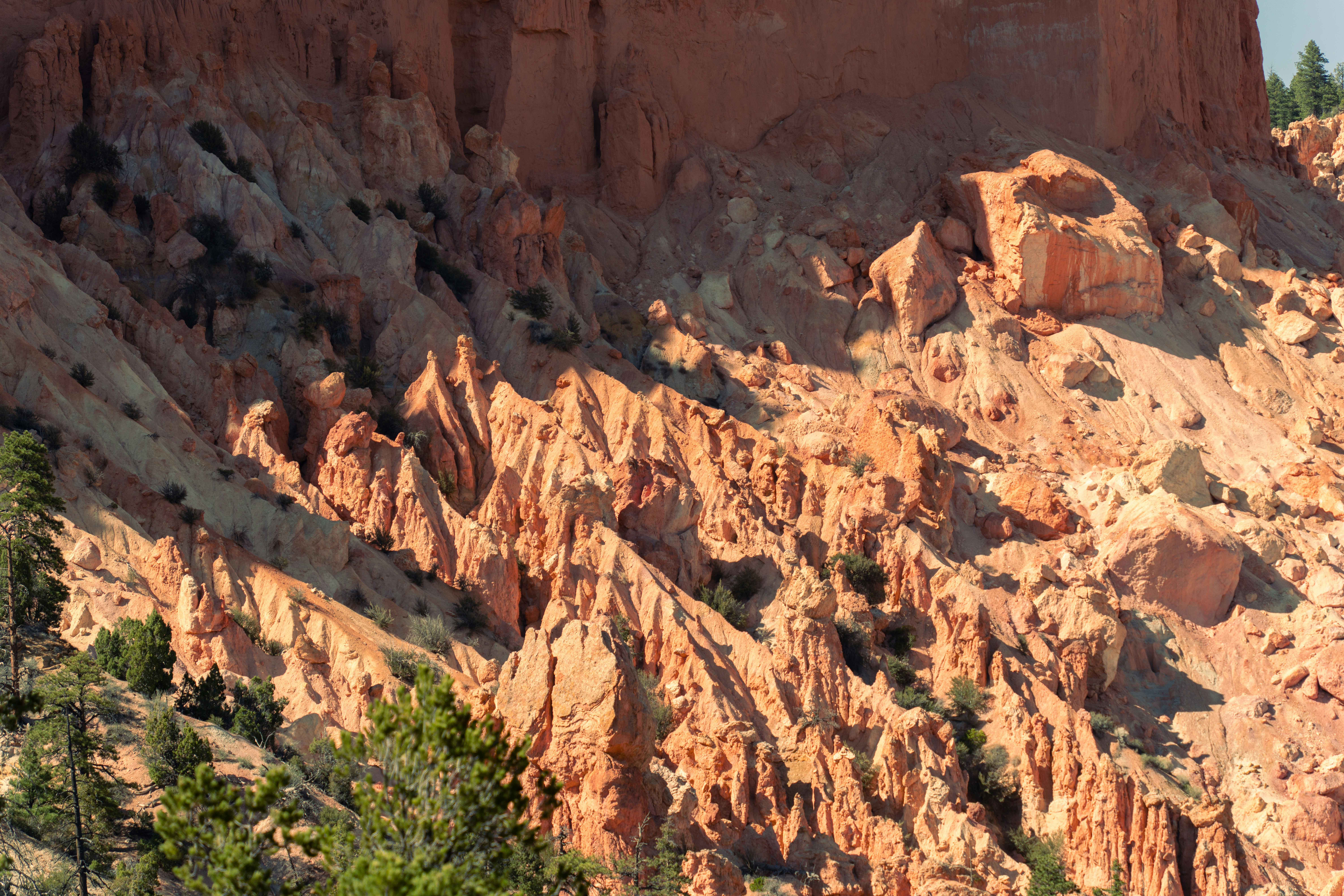 Photo by alexmoliski