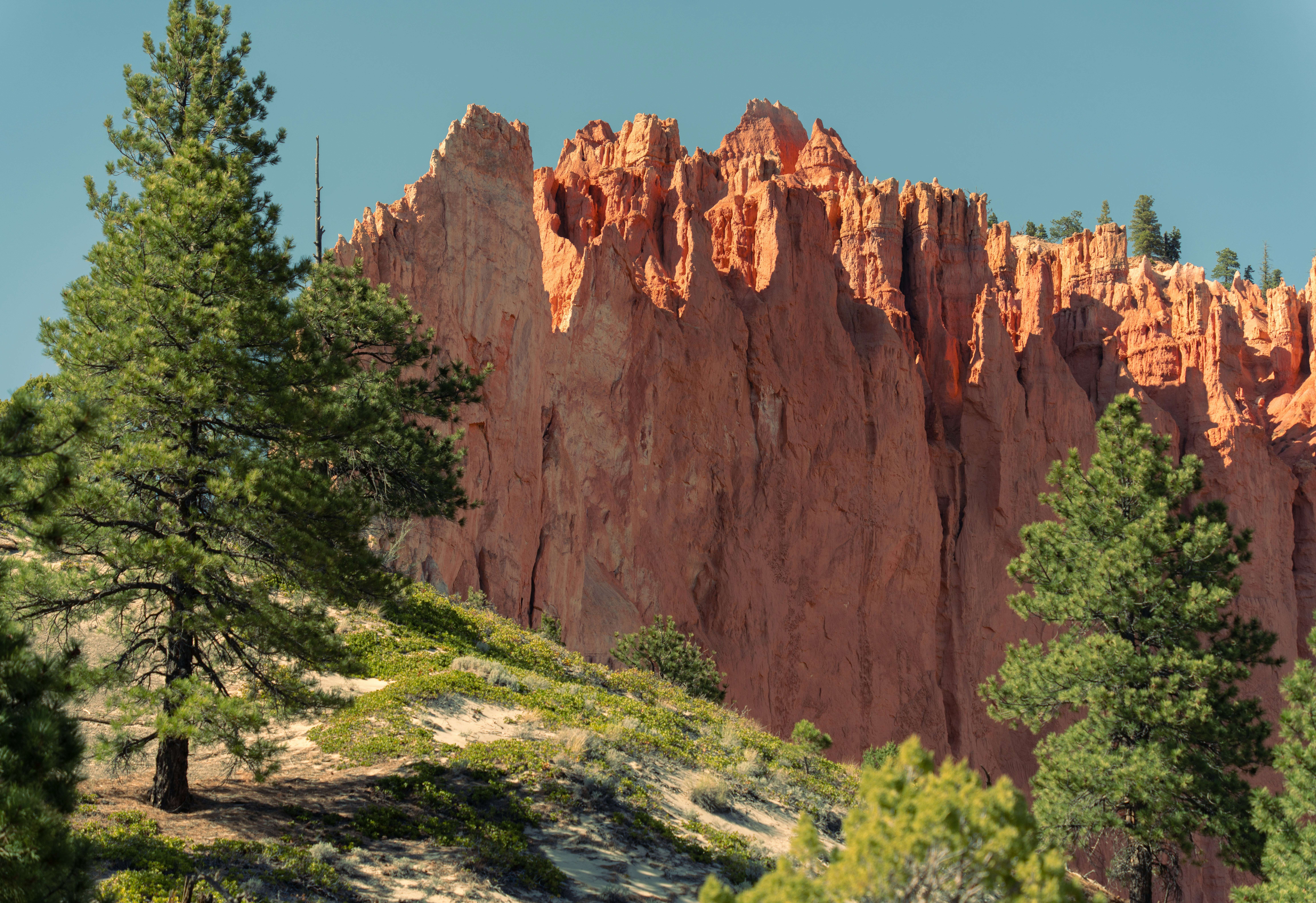 Photo by alexmoliski