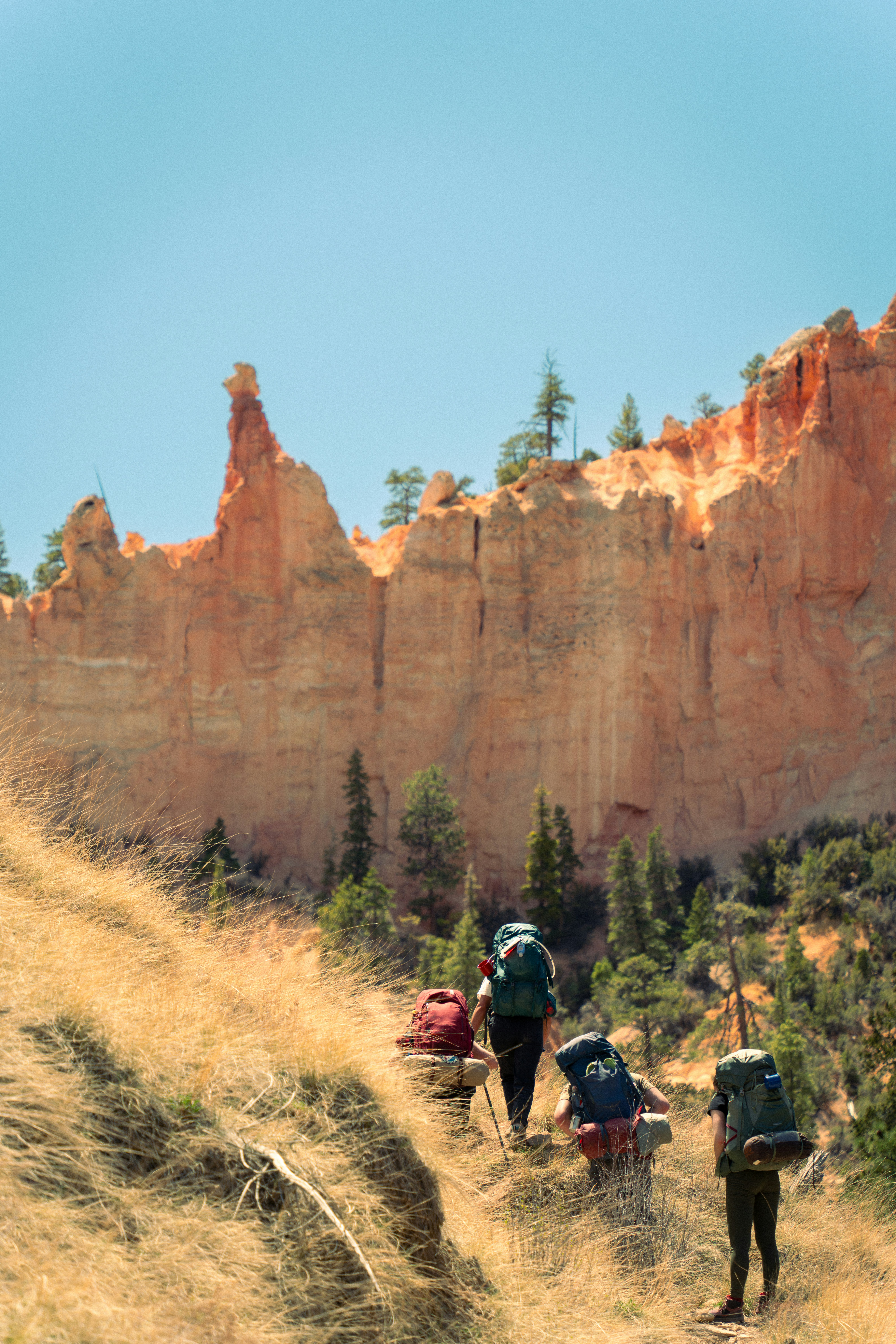 Photo by alexmoliski