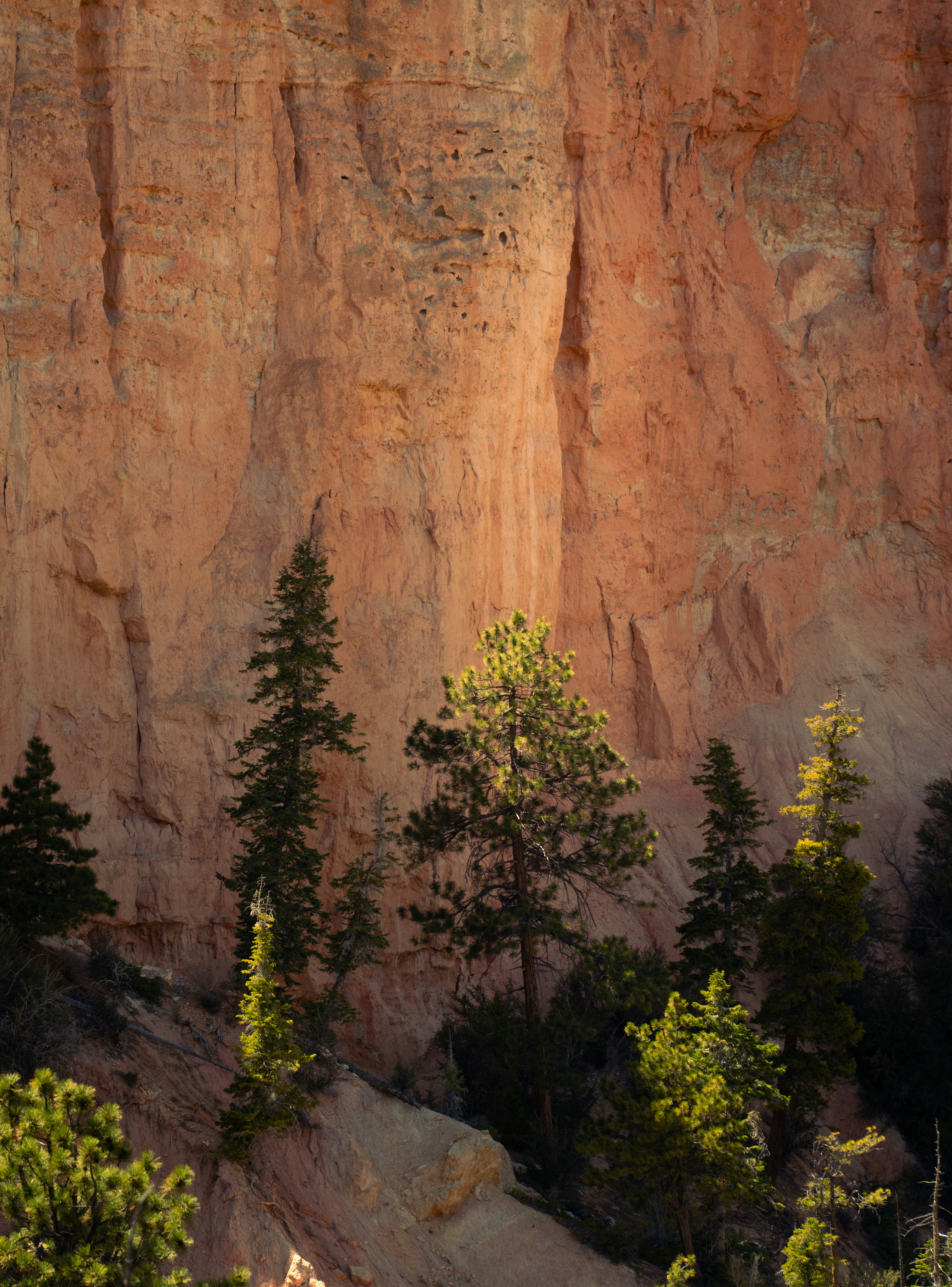 Photo by alexmoliski