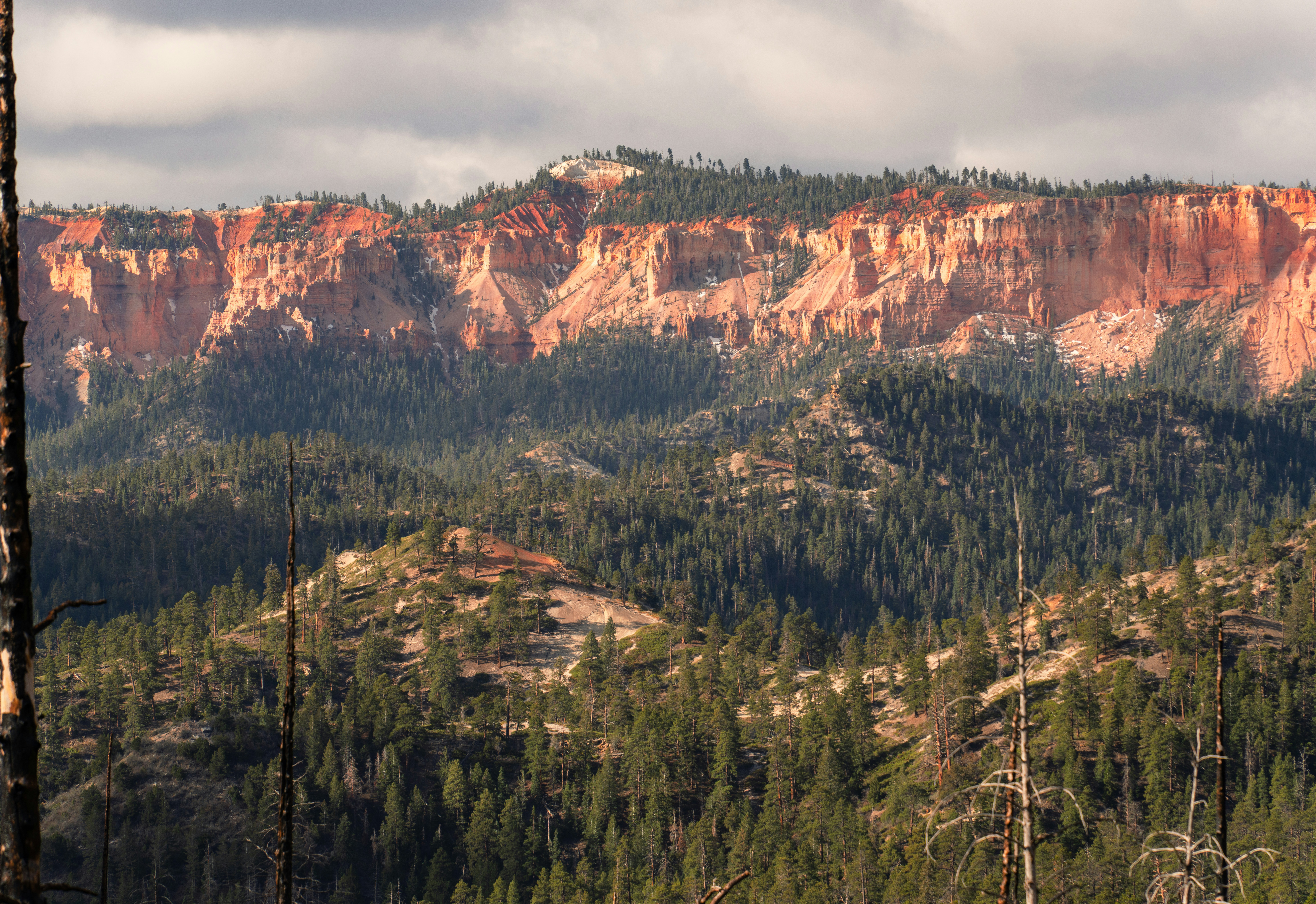 Photo by alexmoliski