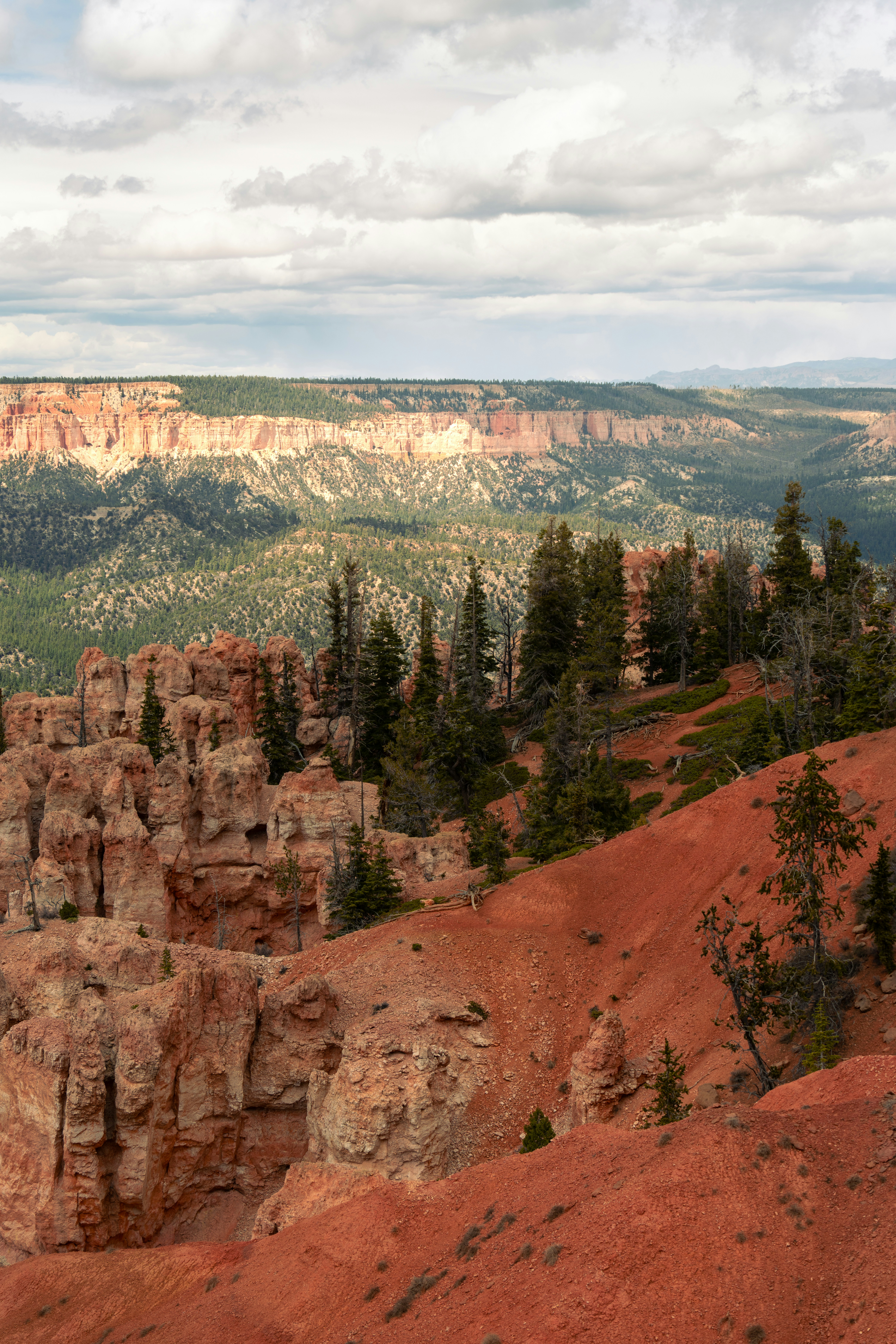 Photo by alexmoliski