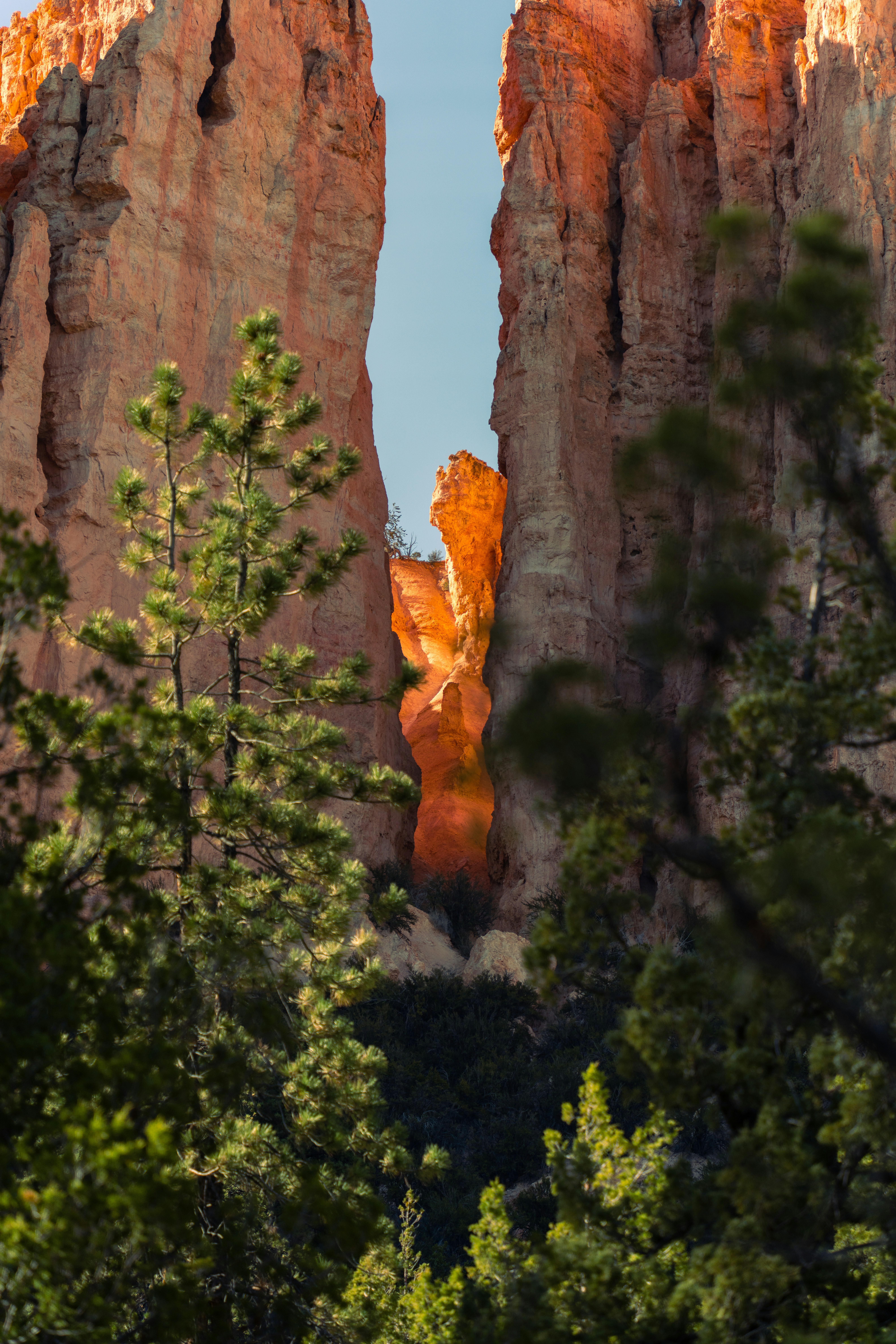 Photo by alexmoliski