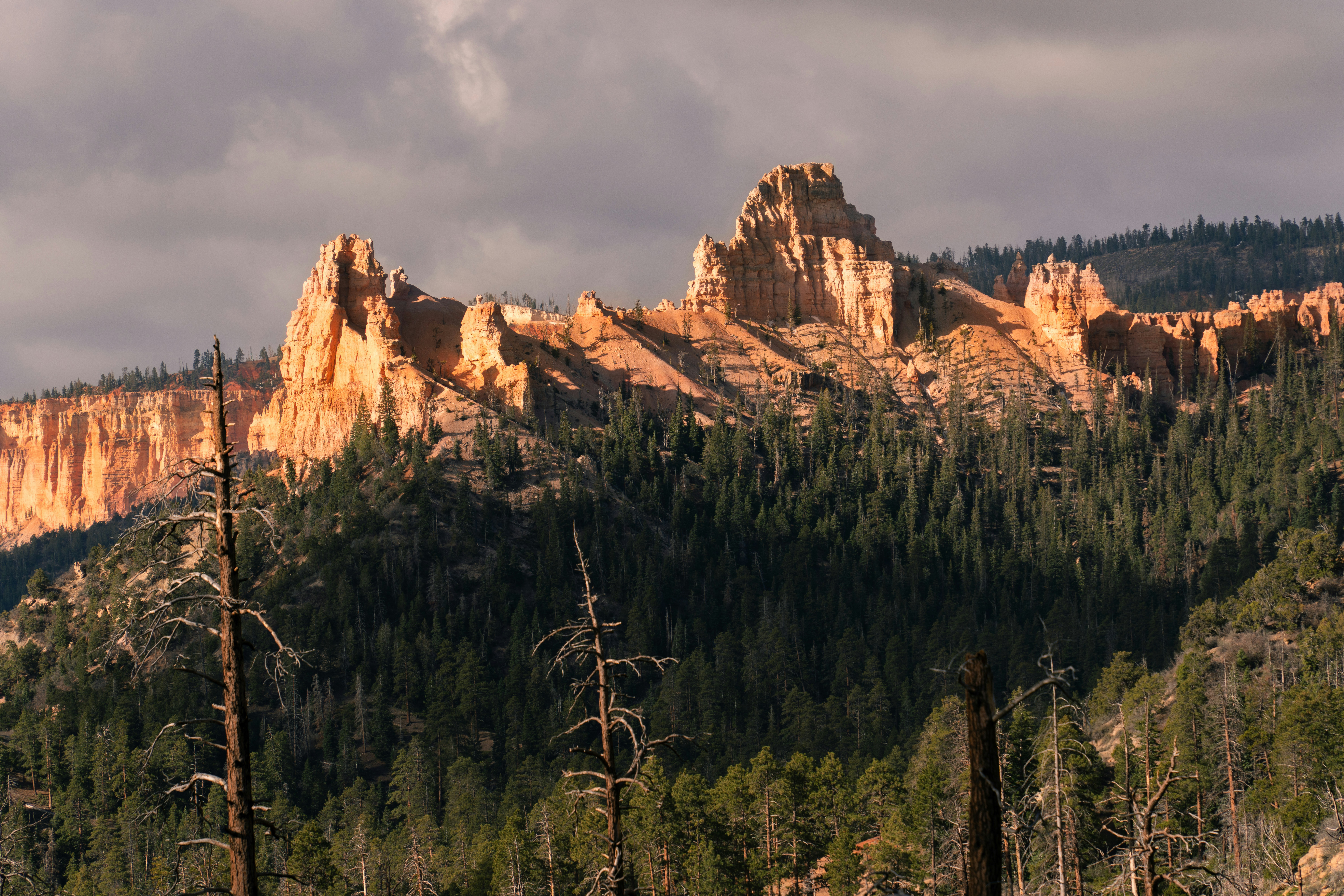 Photo by alexmoliski